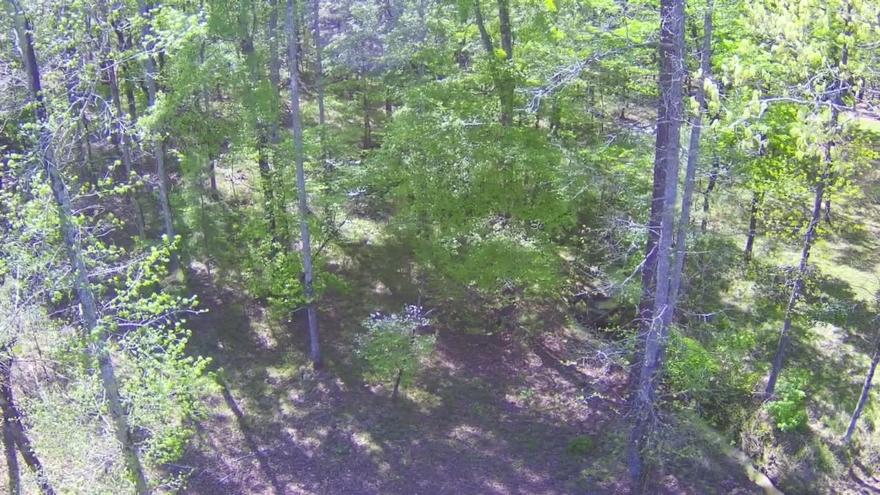 1051 OLIVERS CREEK