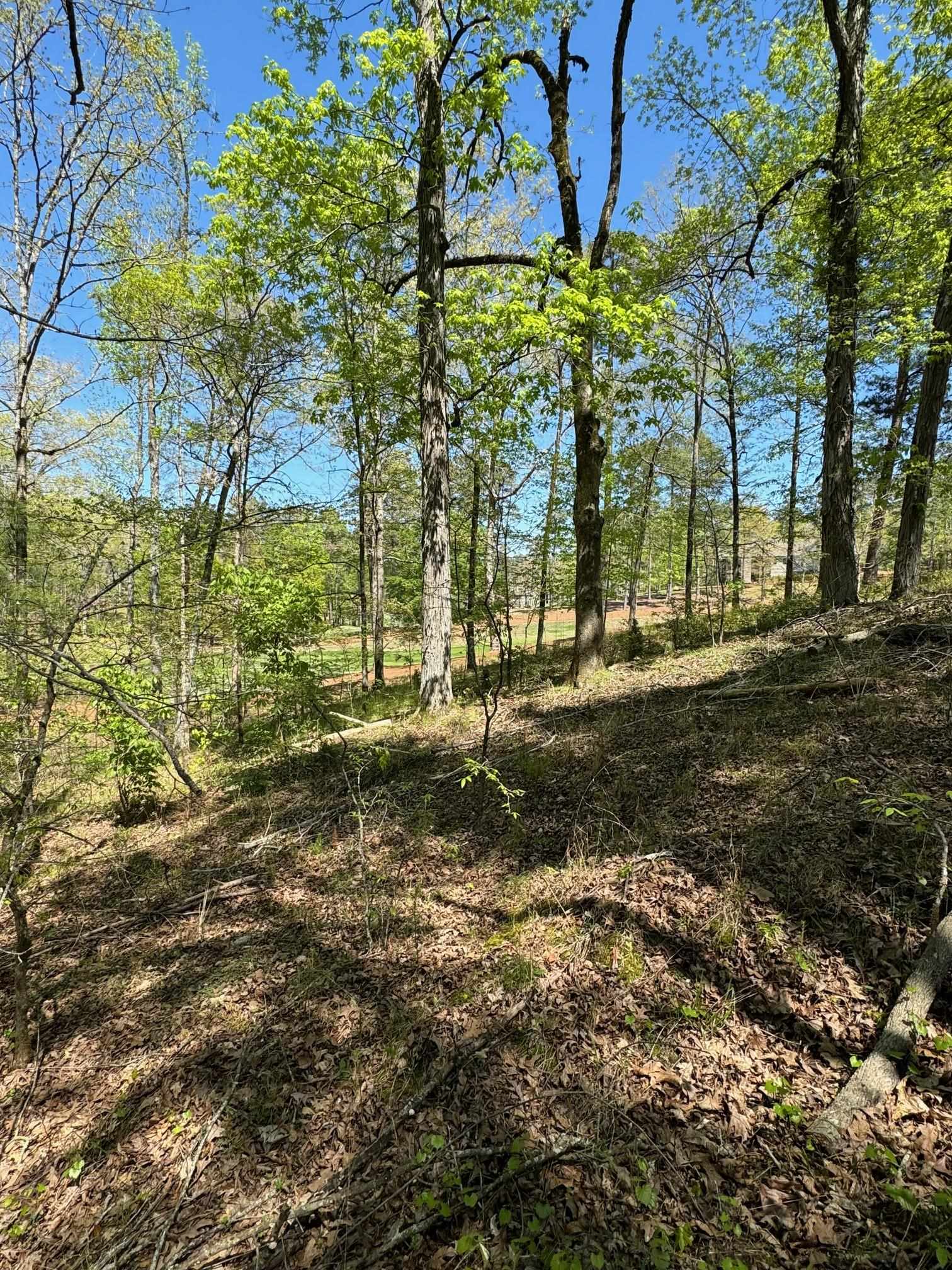 1051 OLIVERS CREEK