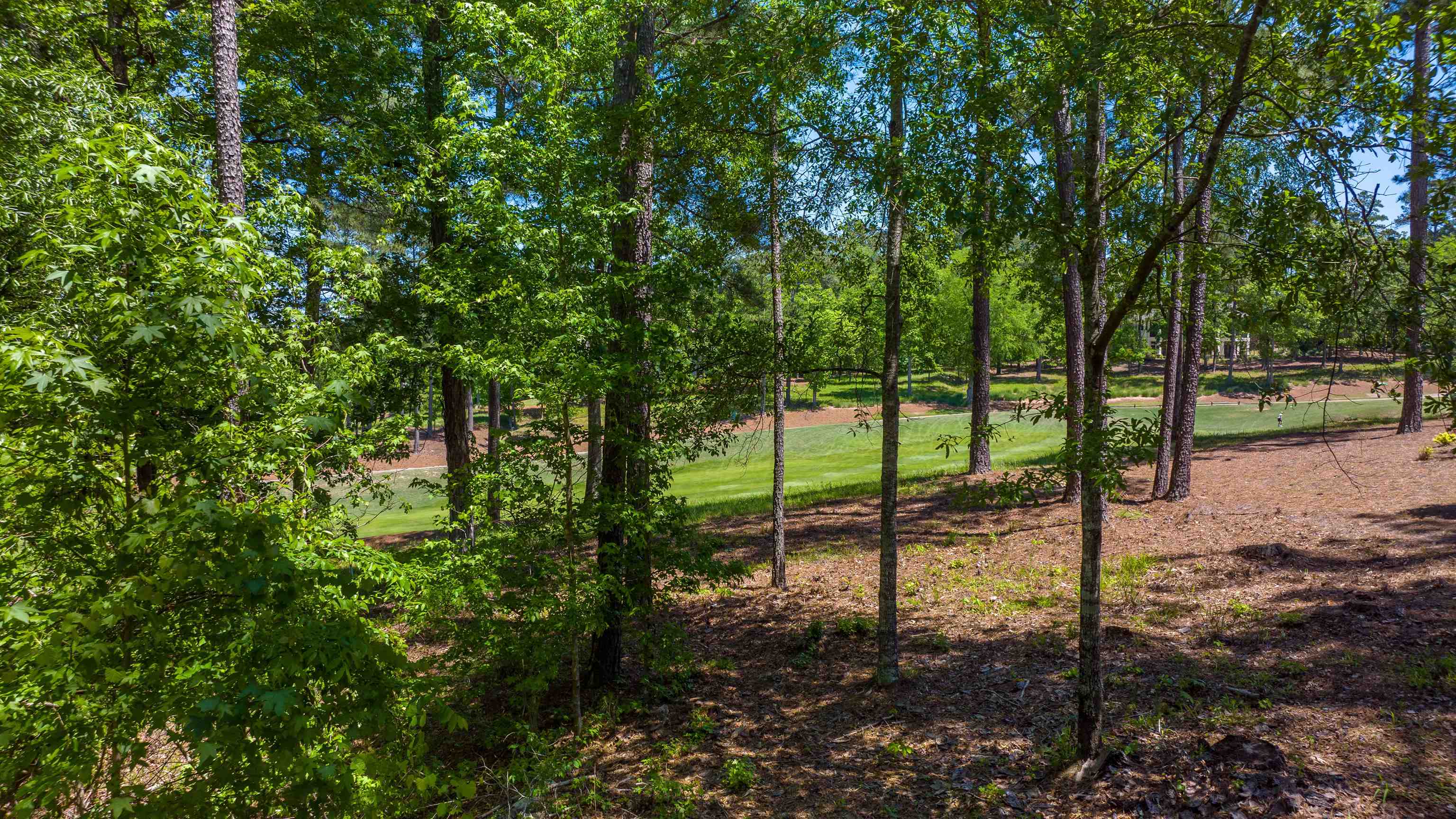 1051 OLIVERS CREEK