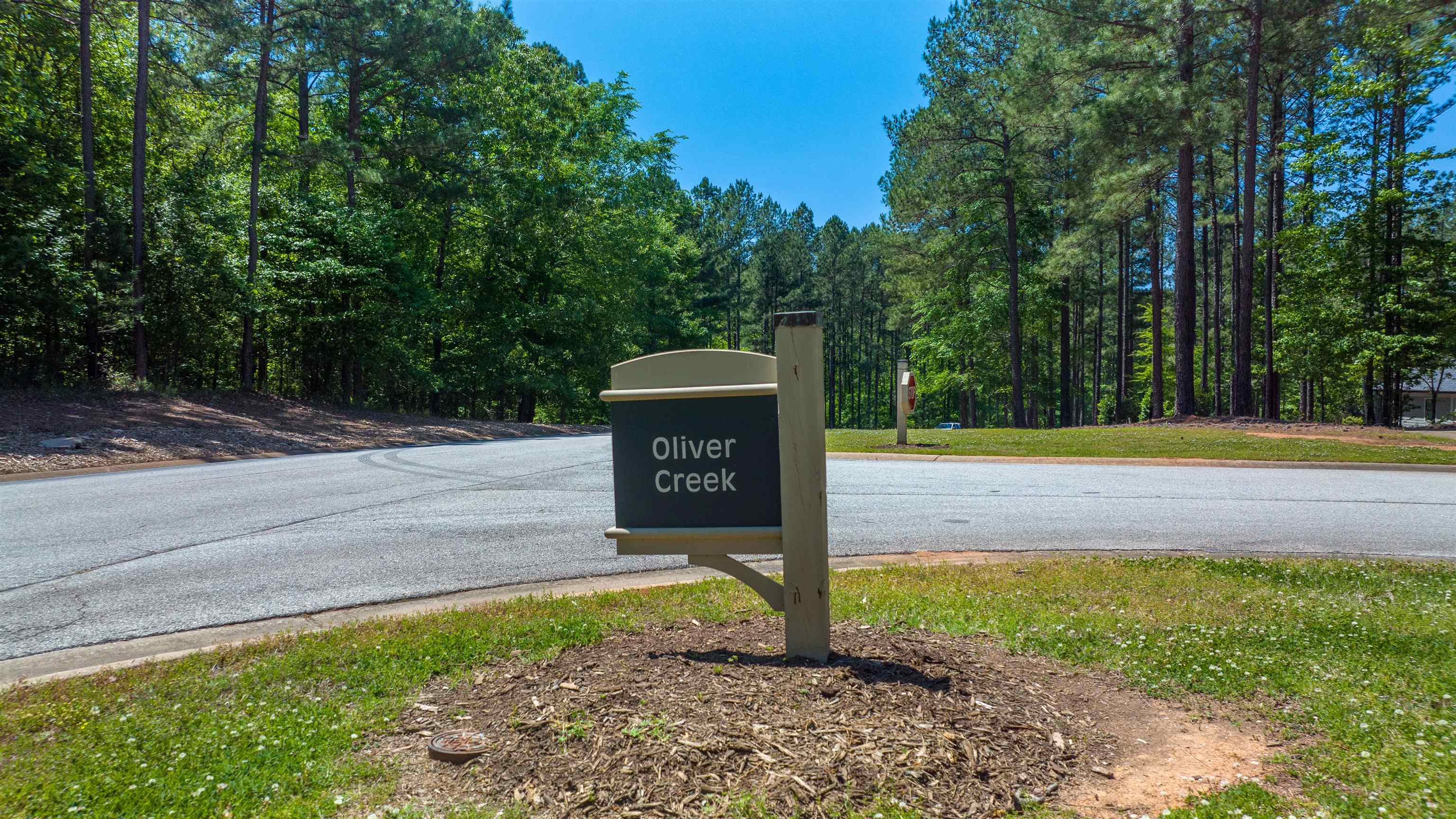 1051 OLIVERS CREEK