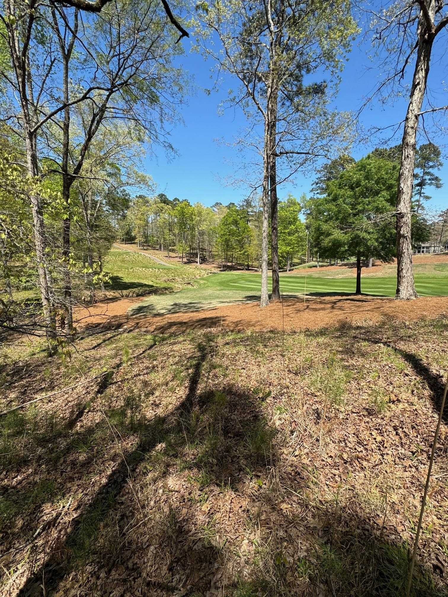 1051 OLIVERS CREEK