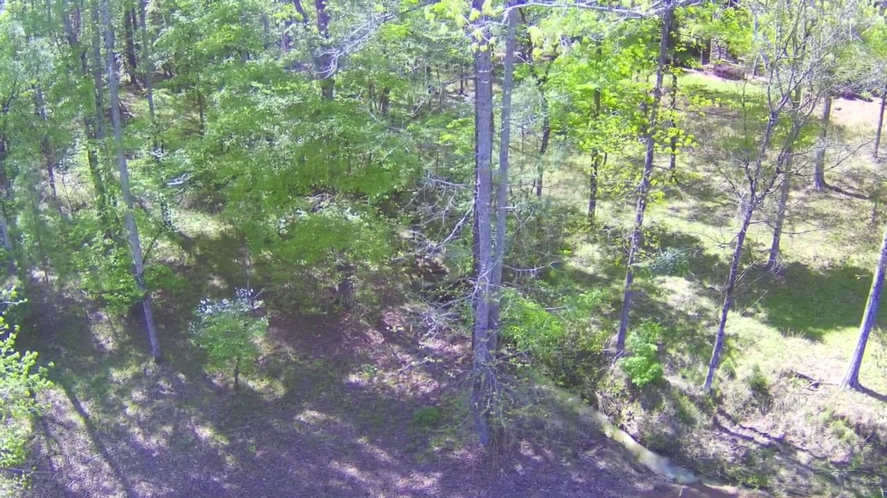 1051 OLIVERS CREEK