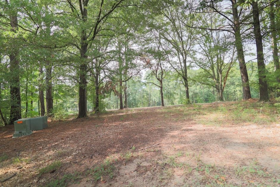 113 BOXWOOD COURT