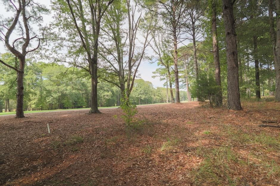 113 BOXWOOD COURT