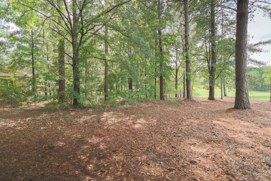 113 BOXWOOD COURT