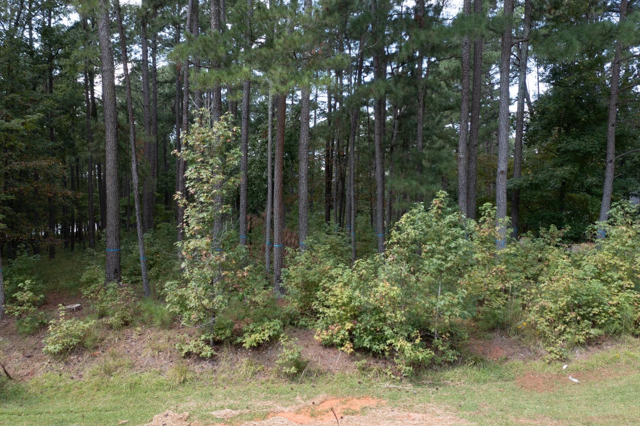 1811 GARNERS FERRY