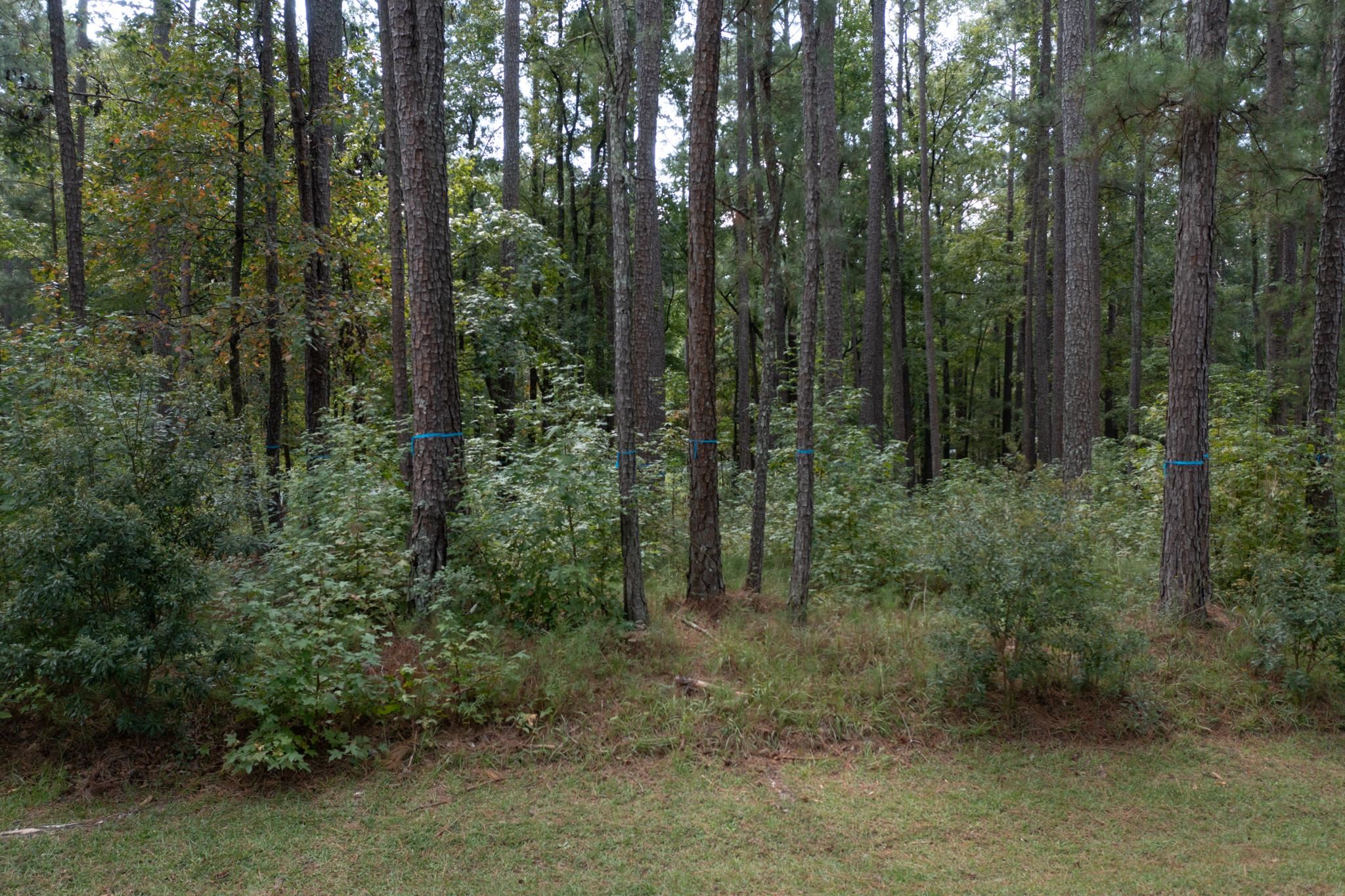 1811 GARNERS FERRY