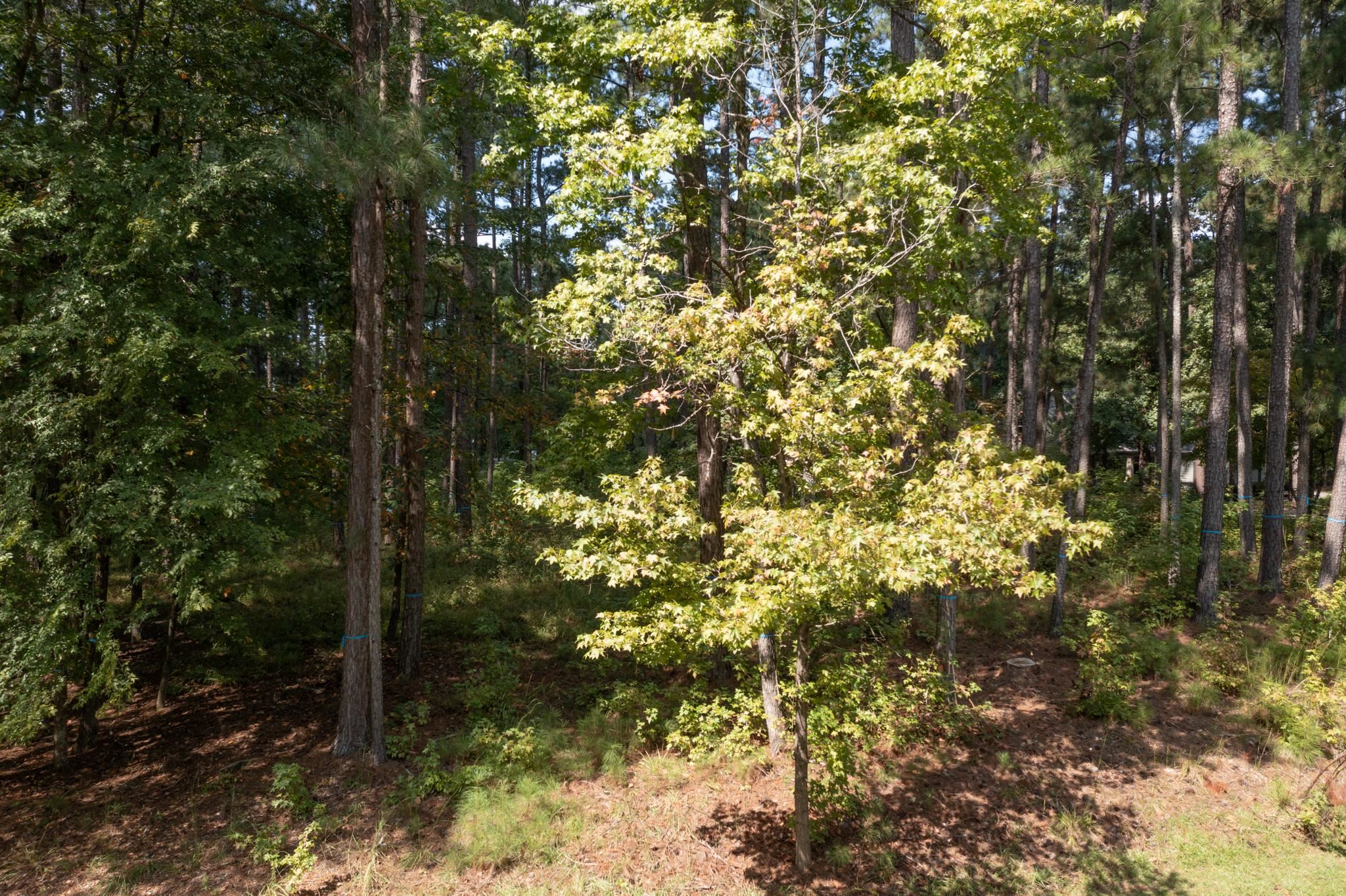1811 GARNERS FERRY