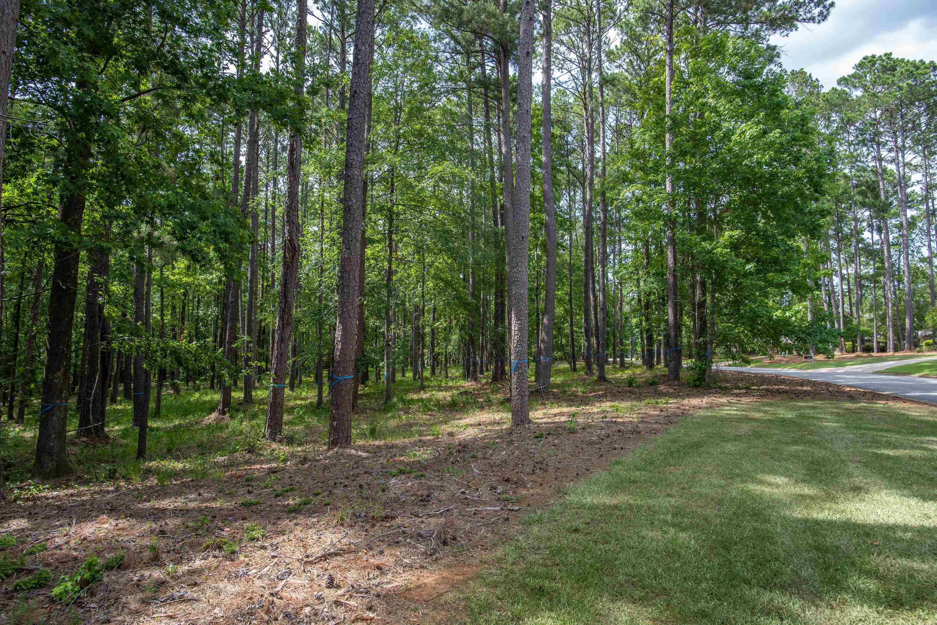 1150 SWIFT CREEK