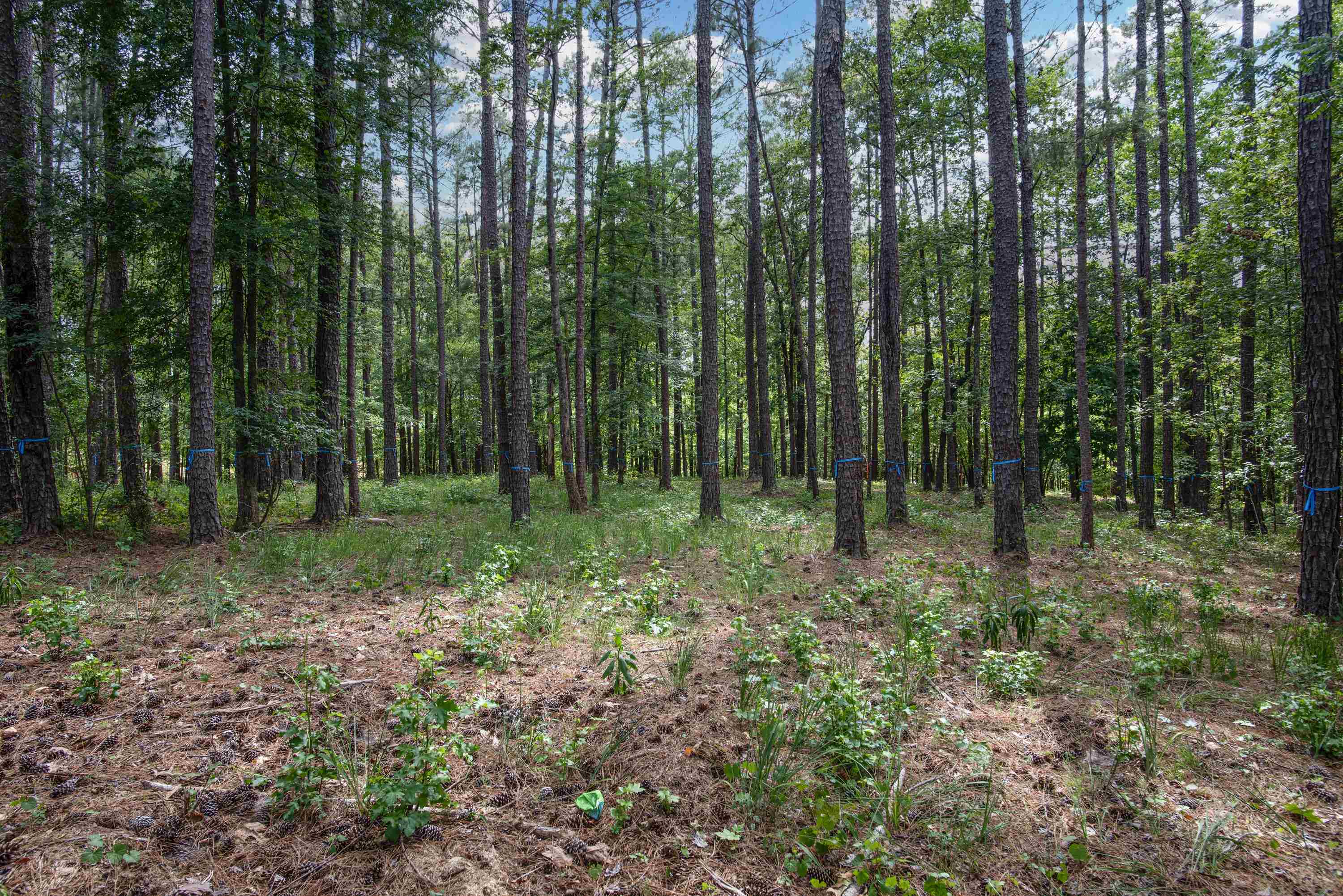 1150 SWIFT CREEK