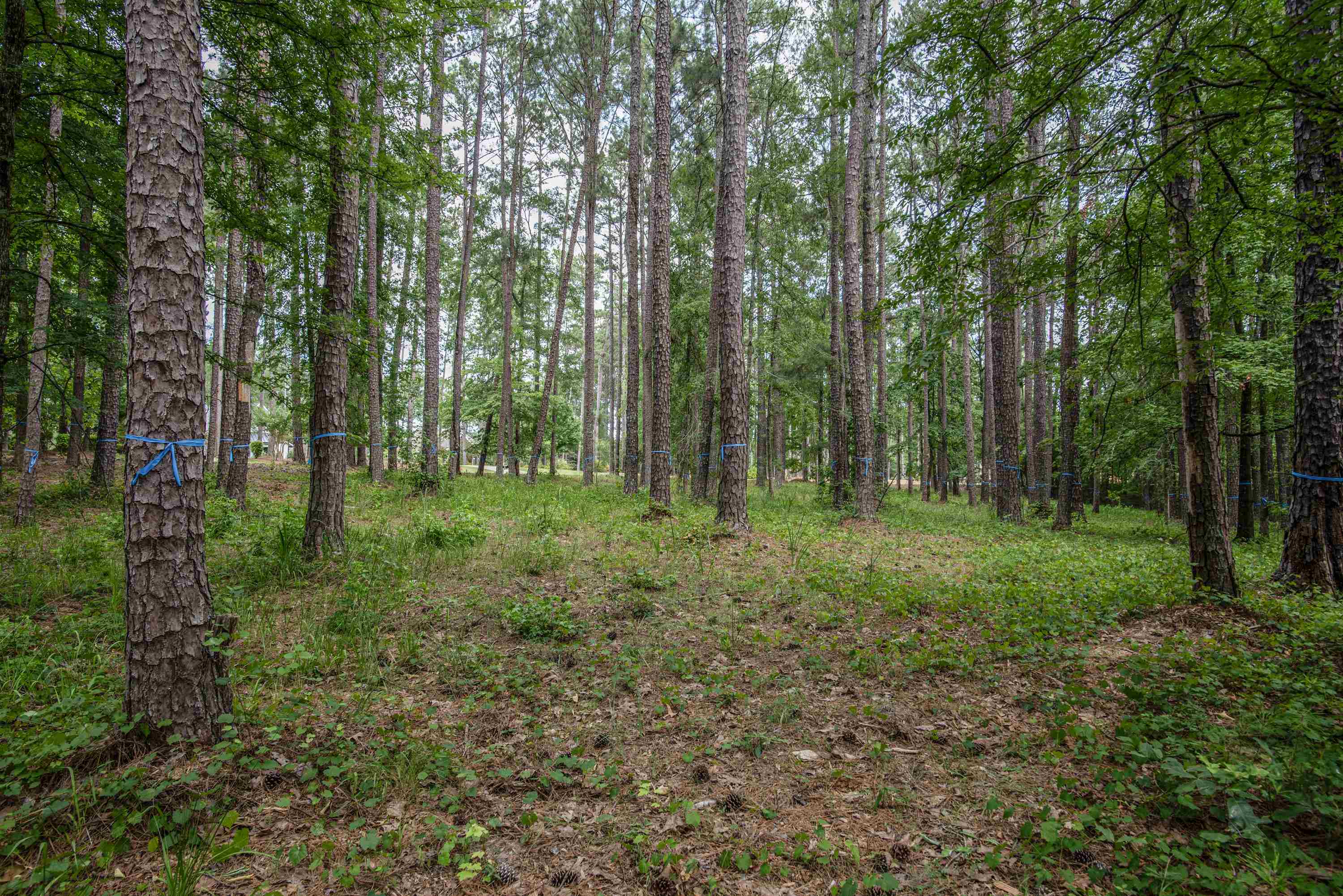 1150 SWIFT CREEK