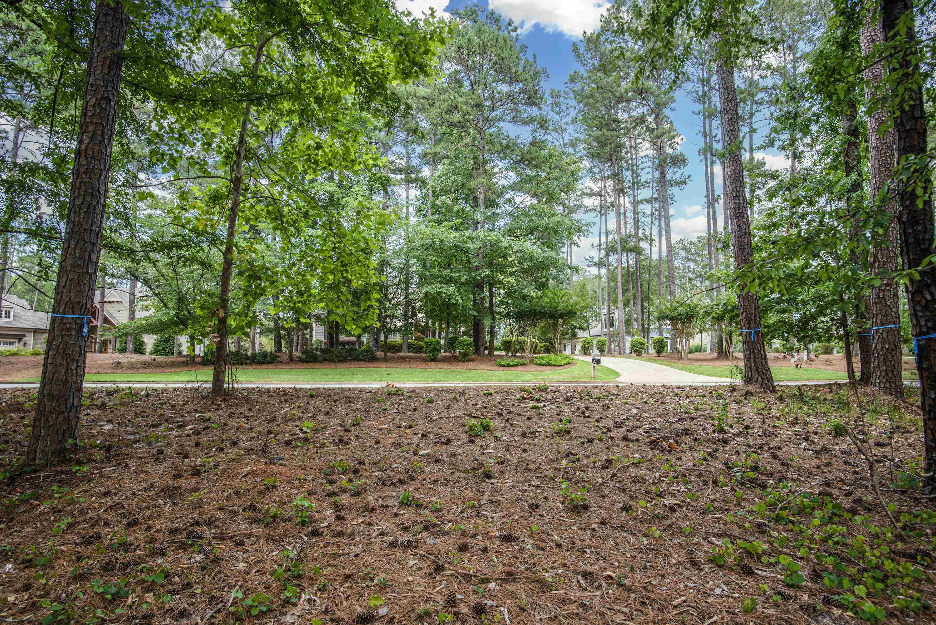 1150 SWIFT CREEK