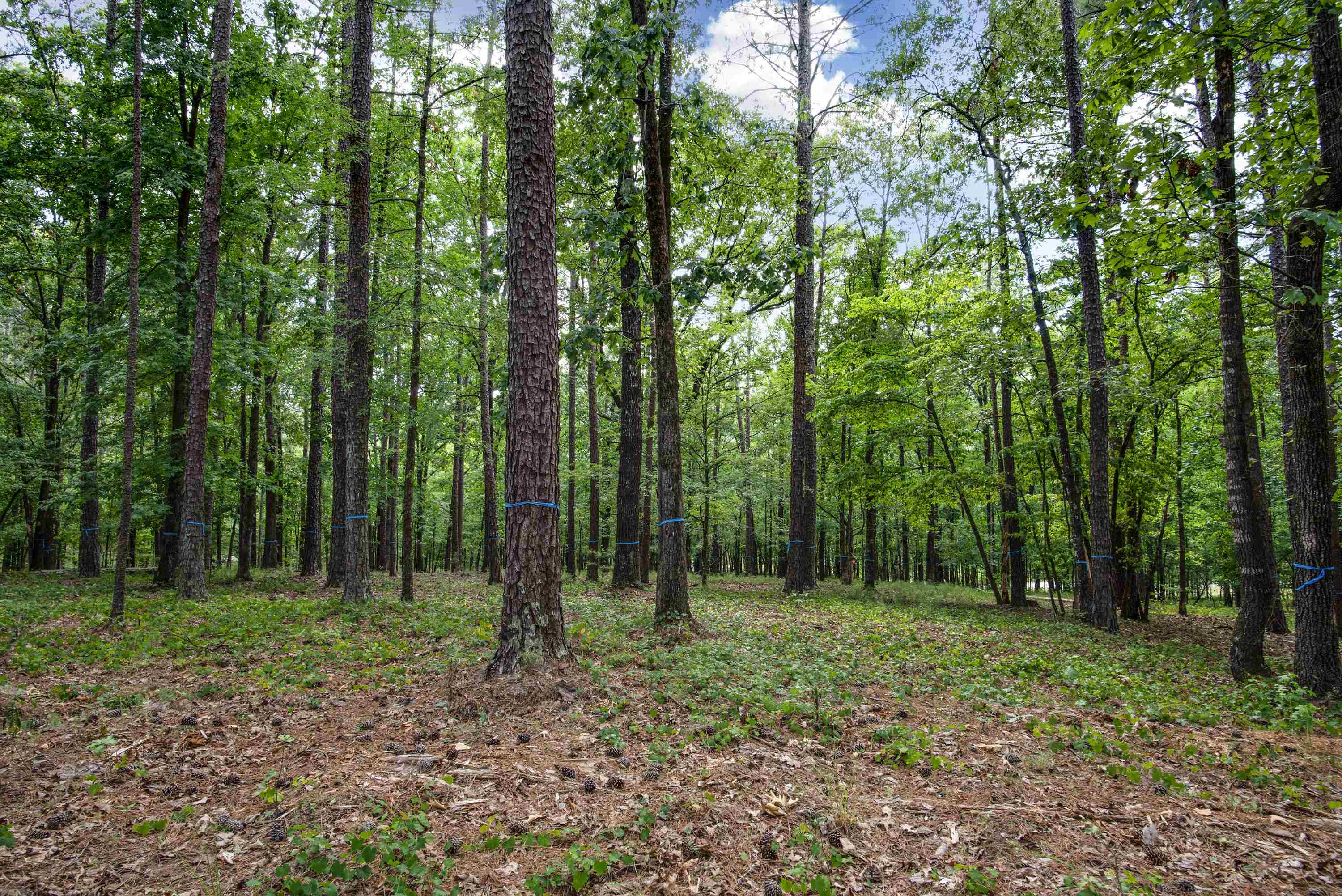 1150 SWIFT CREEK