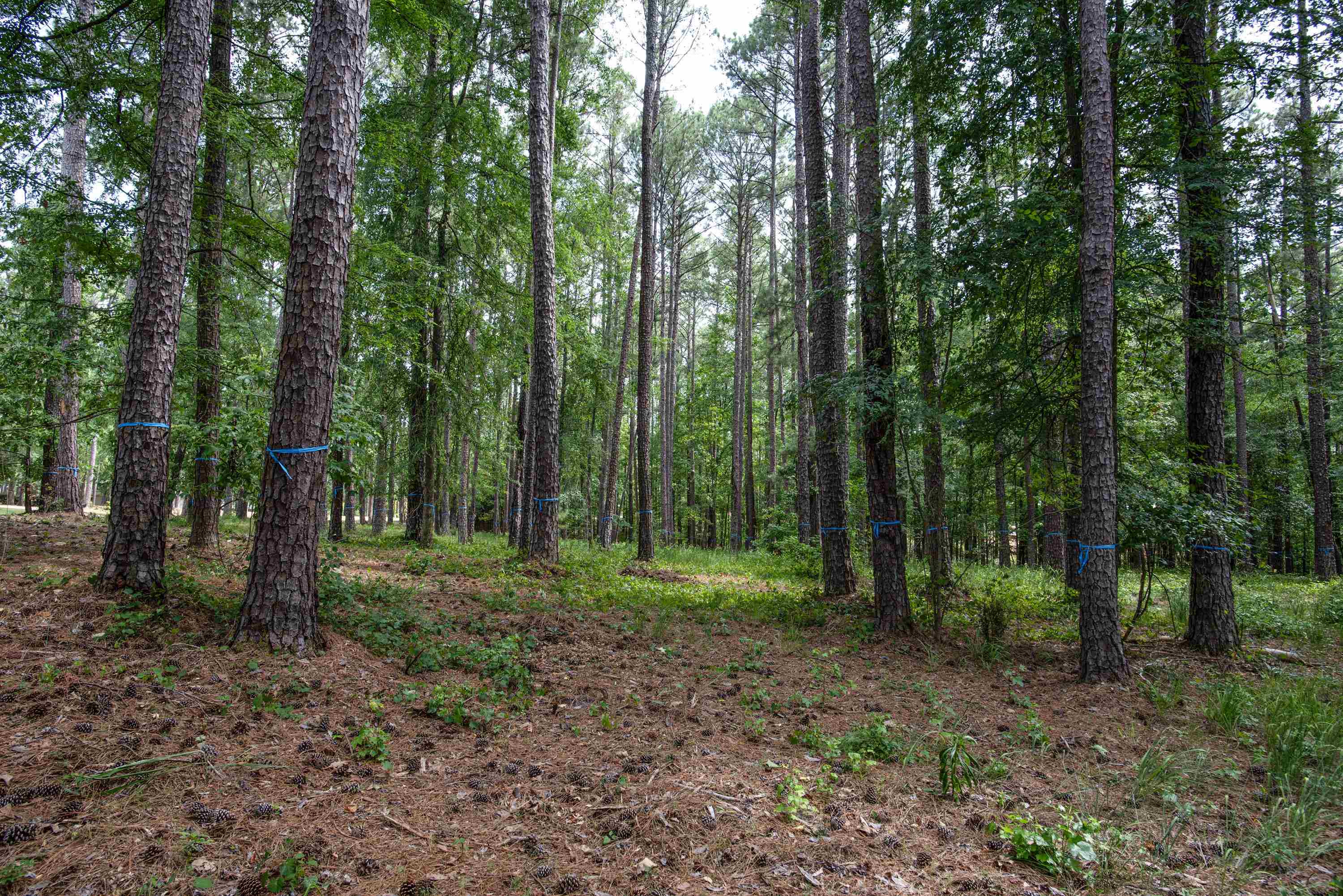 1150 SWIFT CREEK