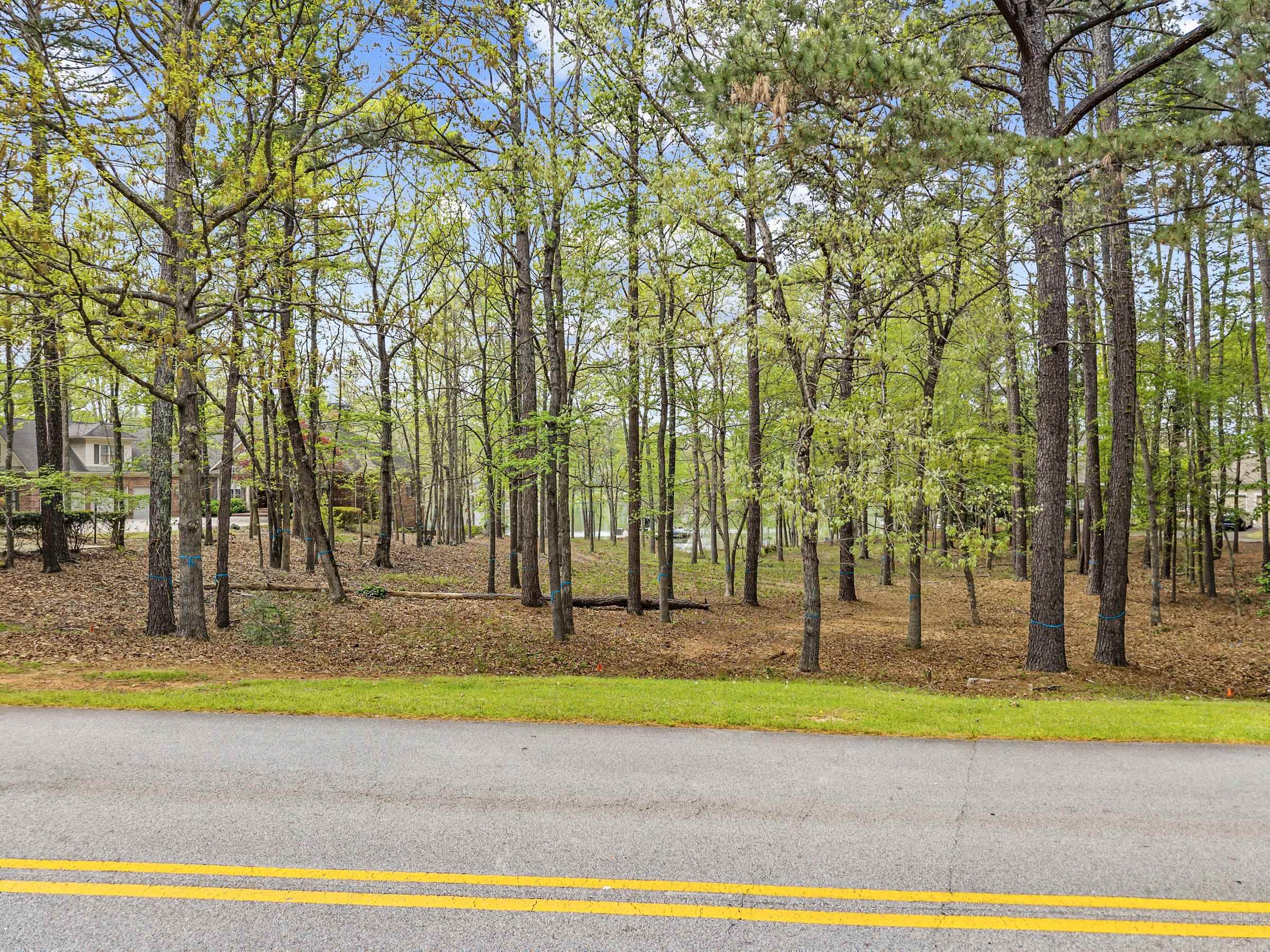 233 REYNOLDS DRIVE