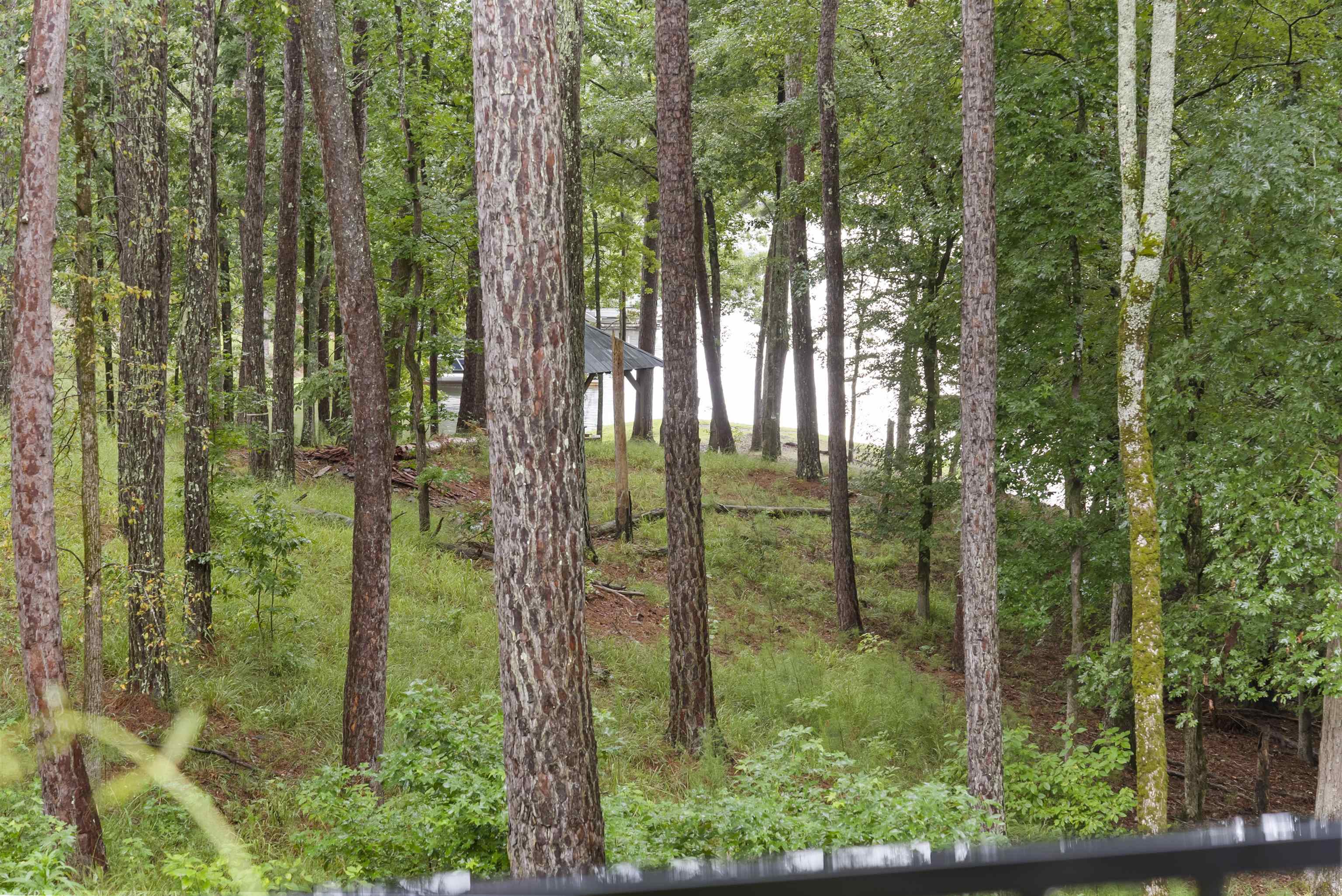 1091 JONES BLUFF COURT