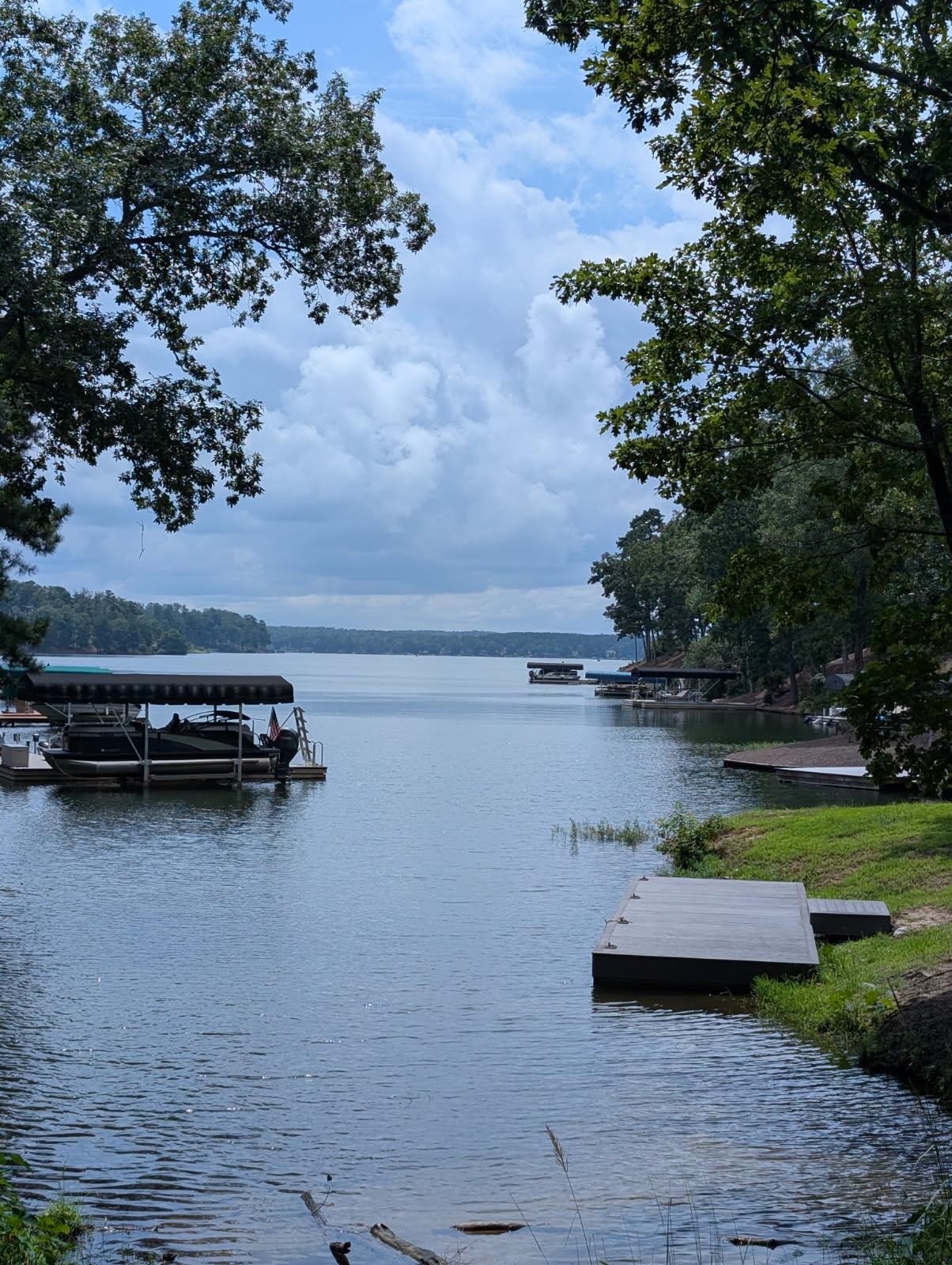 1091 JONES BLUFF COURT