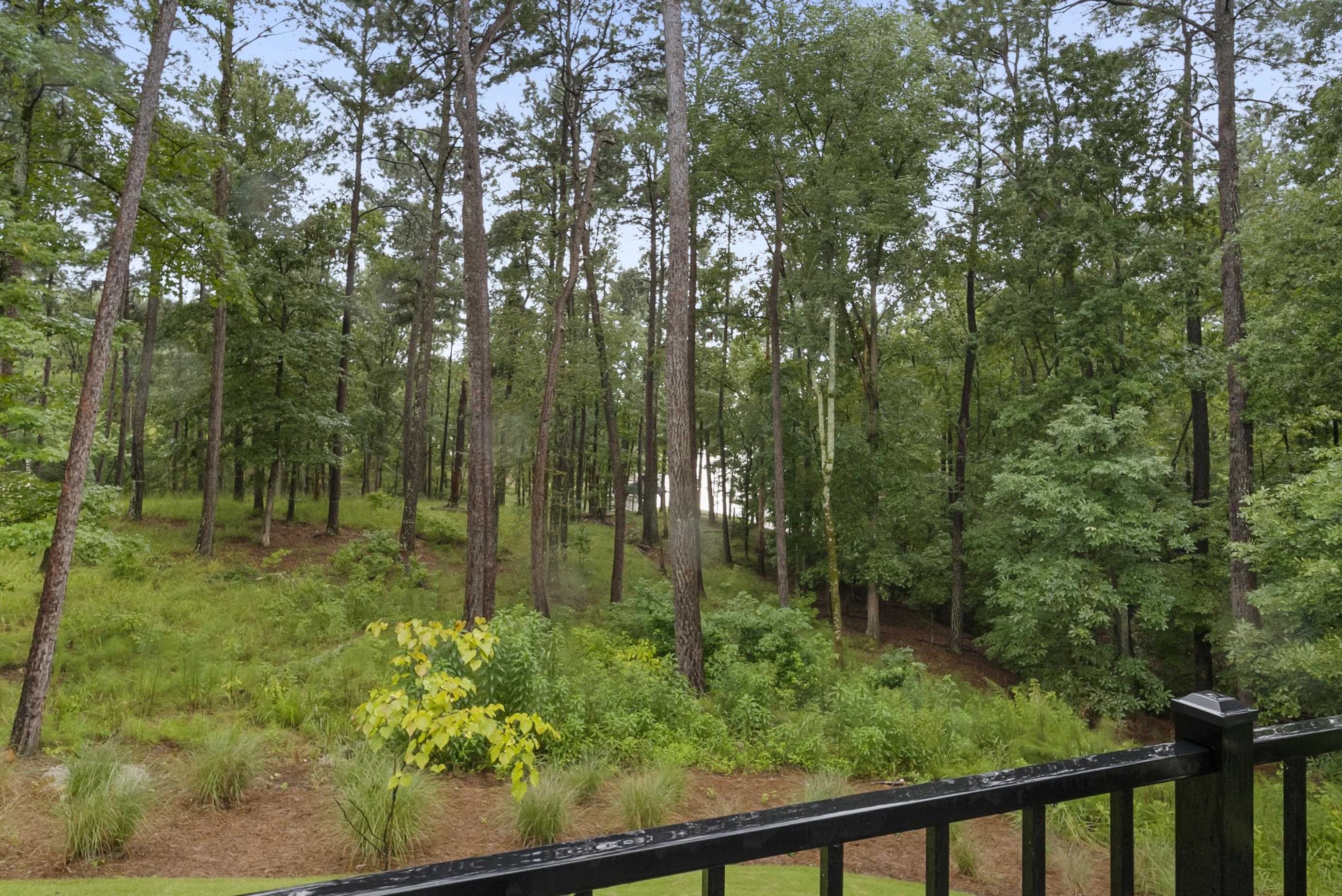 1091 JONES BLUFF COURT