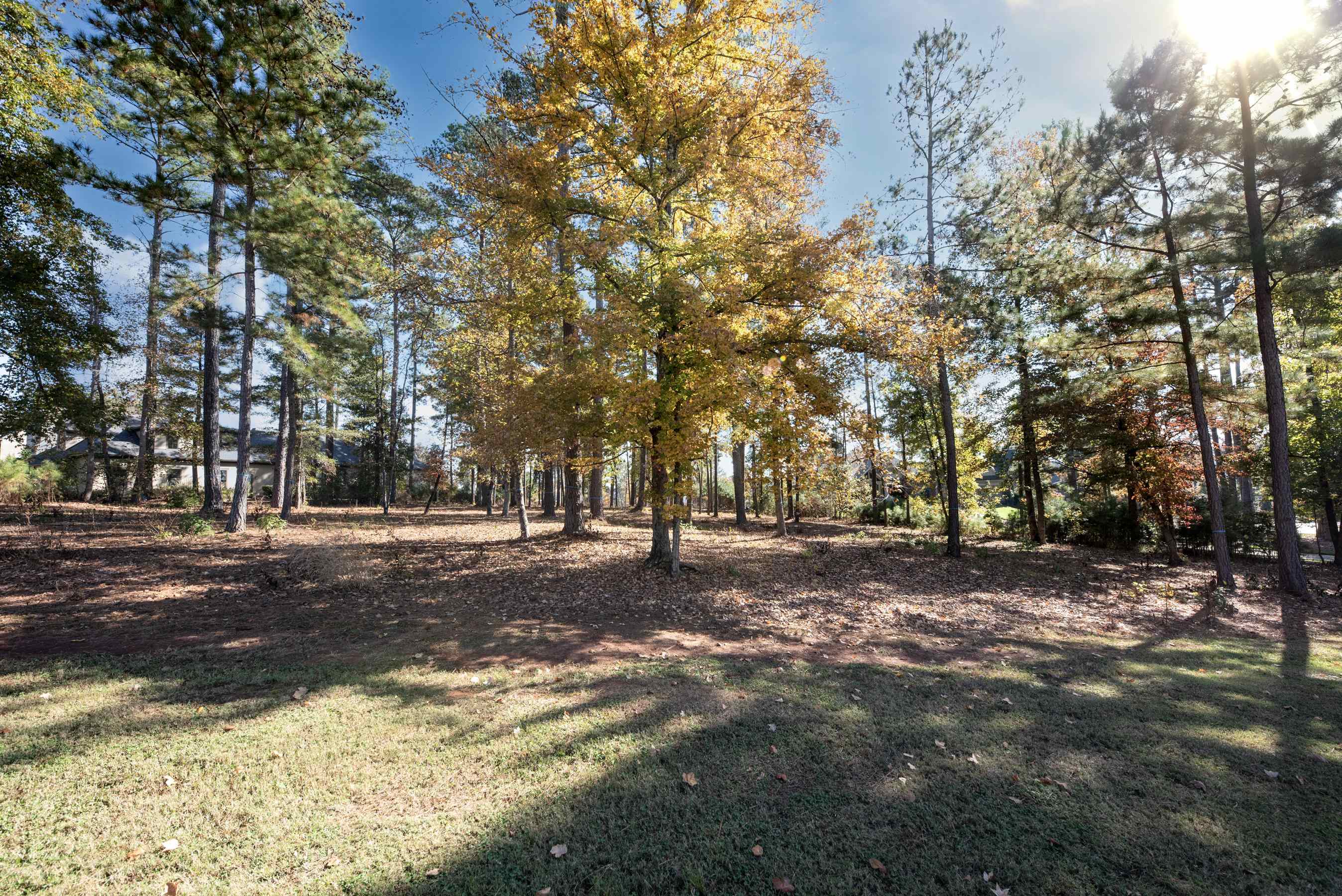 2910 LINGER LONGER DRIVE # 199