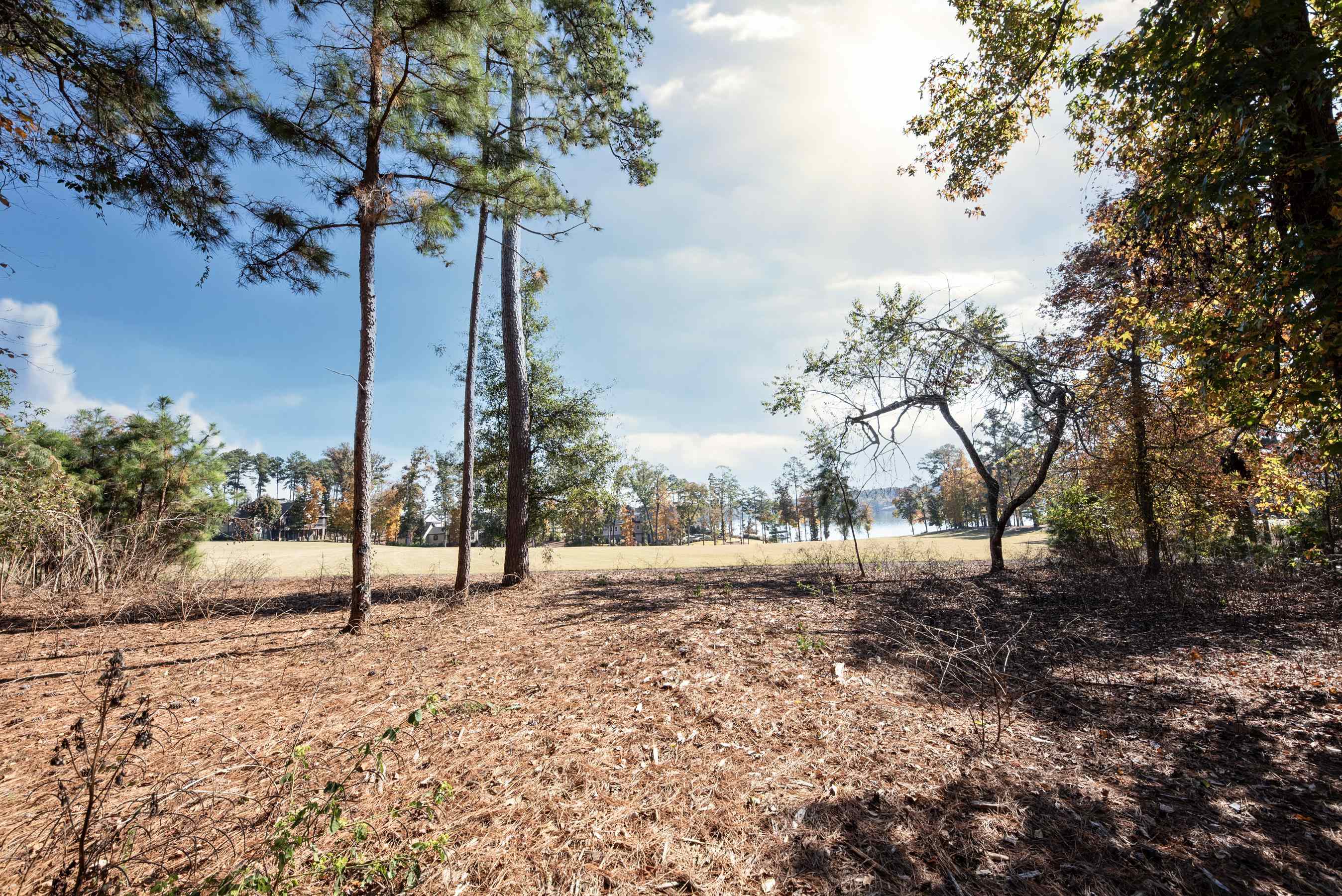 2910 LINGER LONGER DRIVE # 199