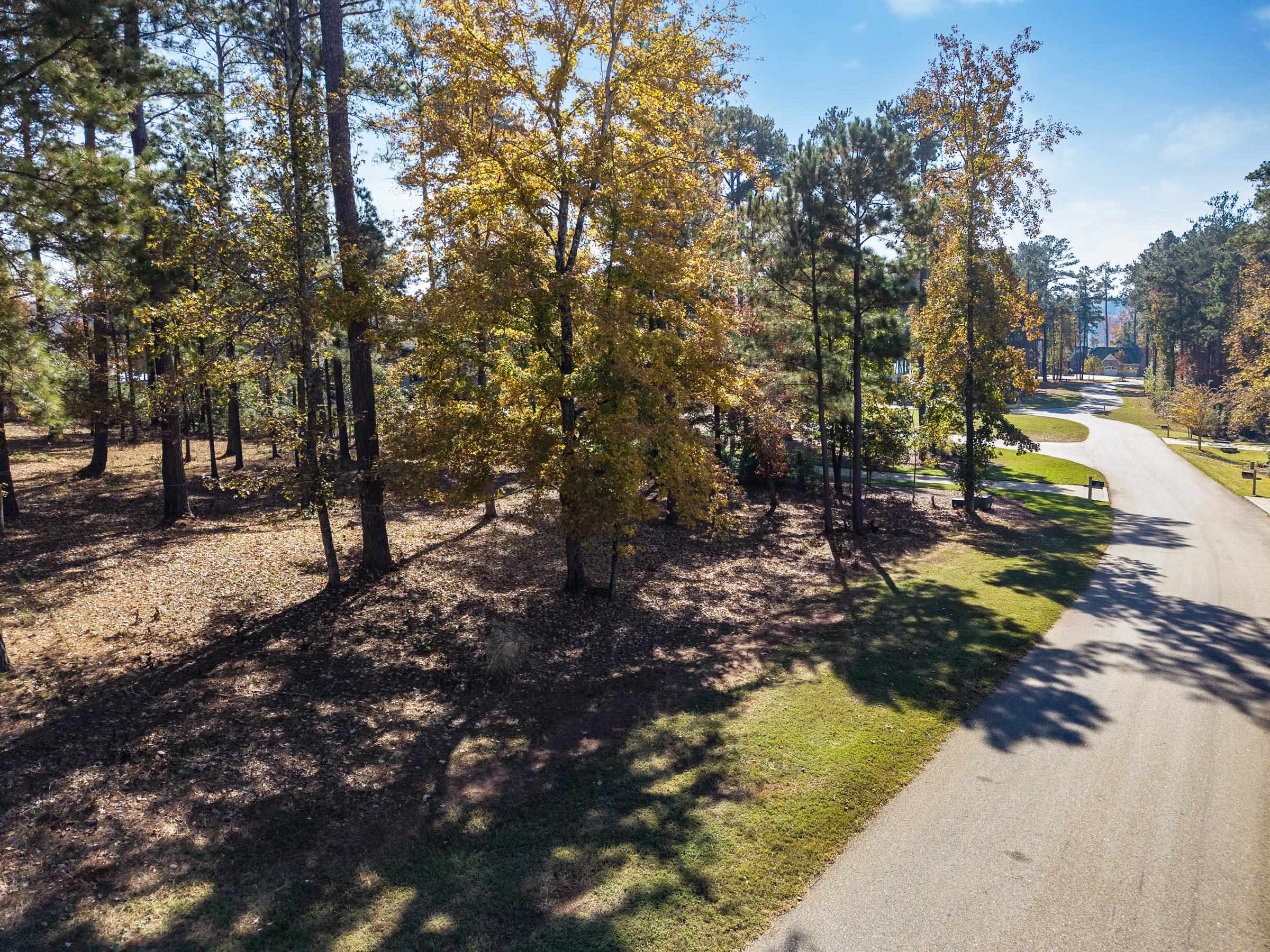 2910 LINGER LONGER DRIVE # 199