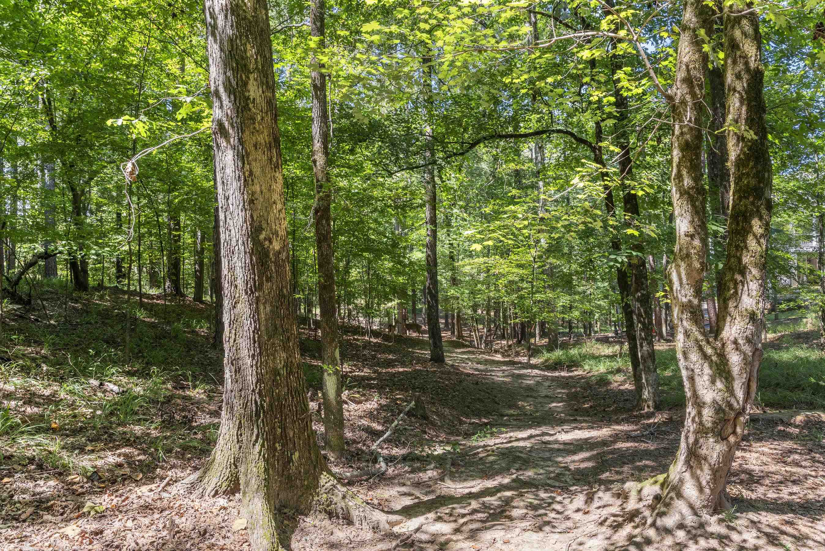 1000 TROUBLESOME CREEK LANE