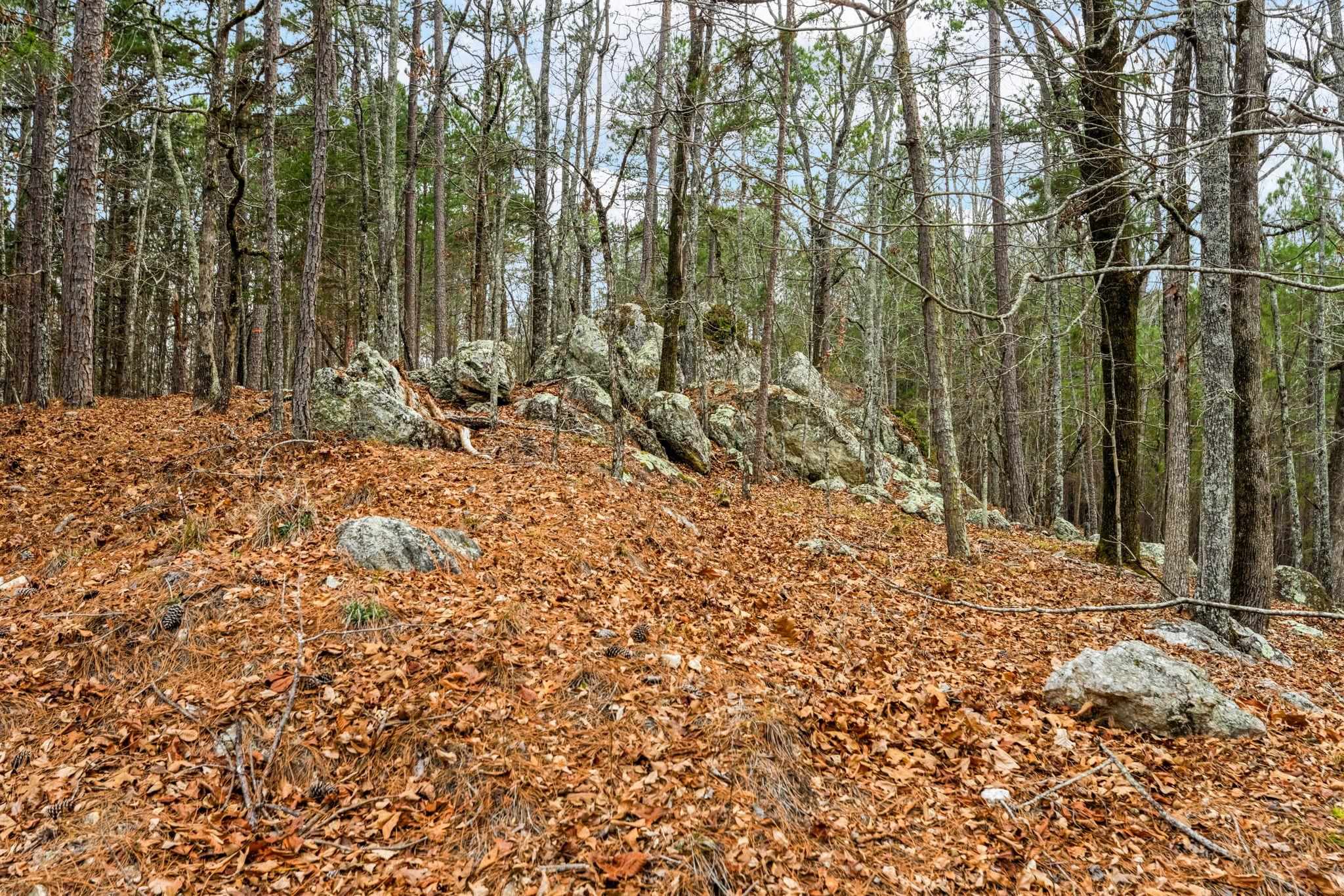 251 WINDING RIVER ROAD # 0