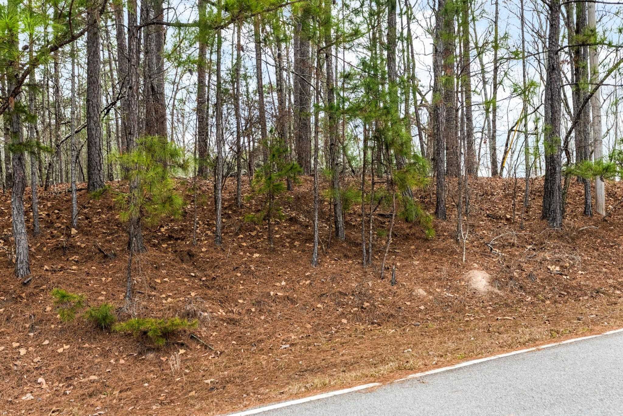 251 WINDING RIVER ROAD # 0