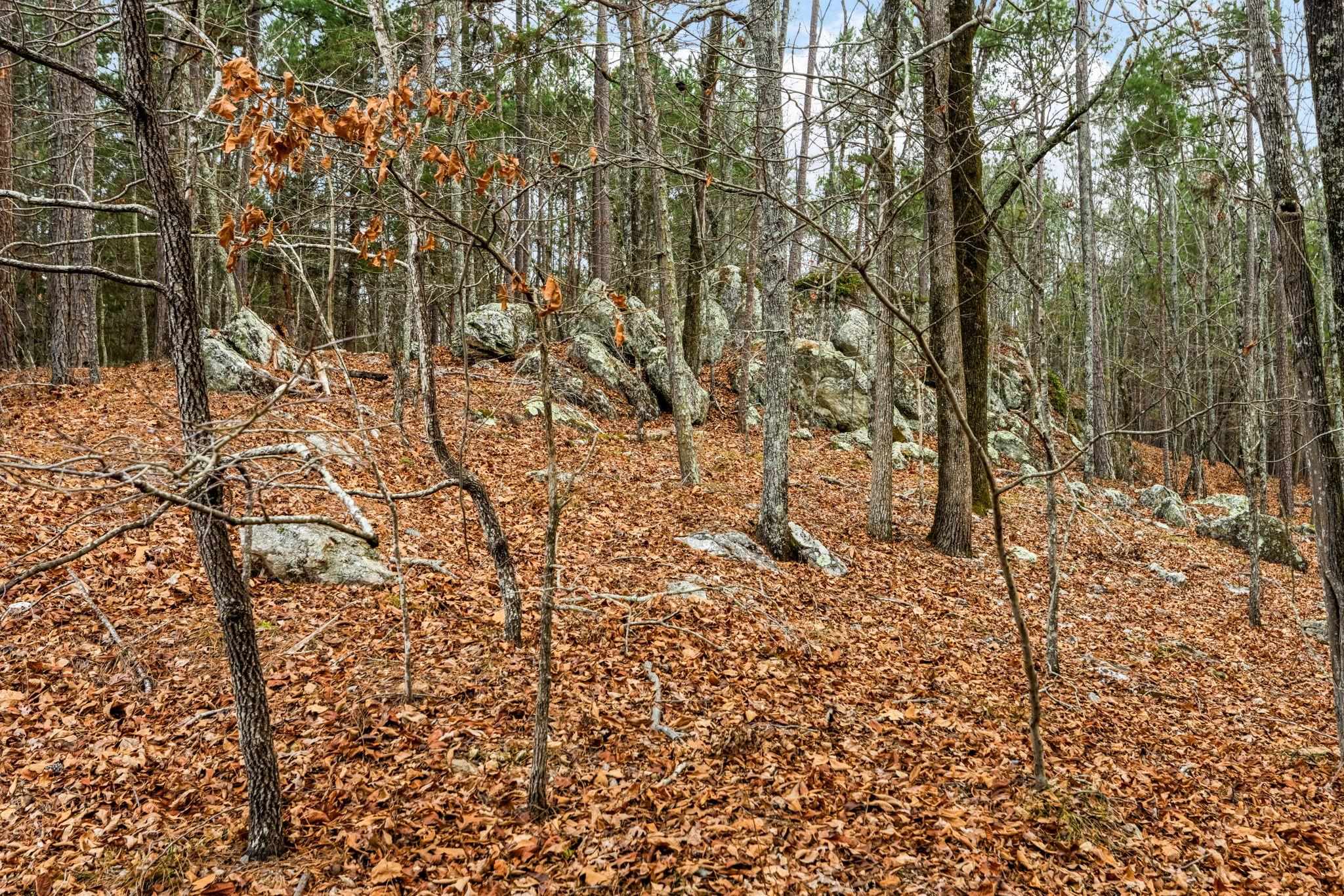 251 WINDING RIVER ROAD # 0