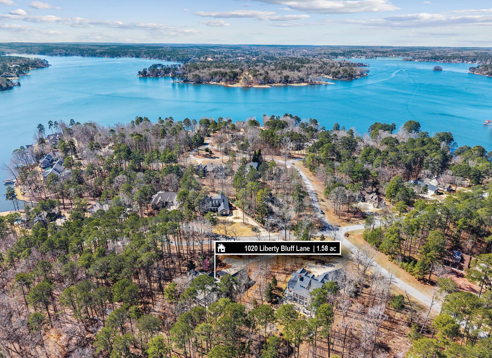 1020 LIBERTY BLUFF LANE