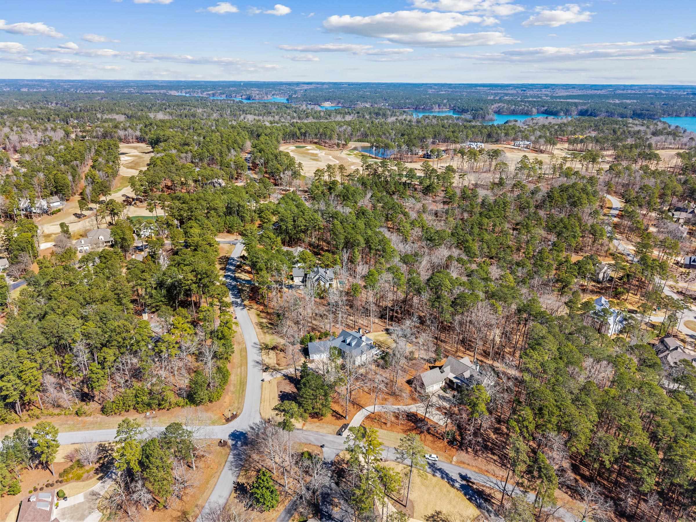 1020 LIBERTY BLUFF LANE