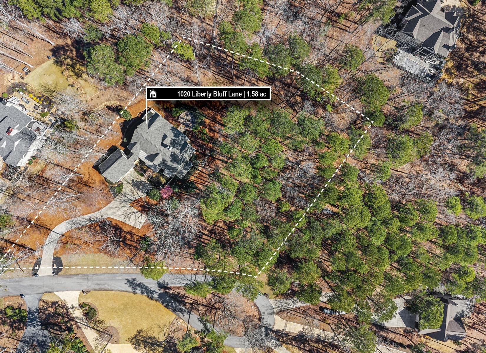 1020 LIBERTY BLUFF LANE