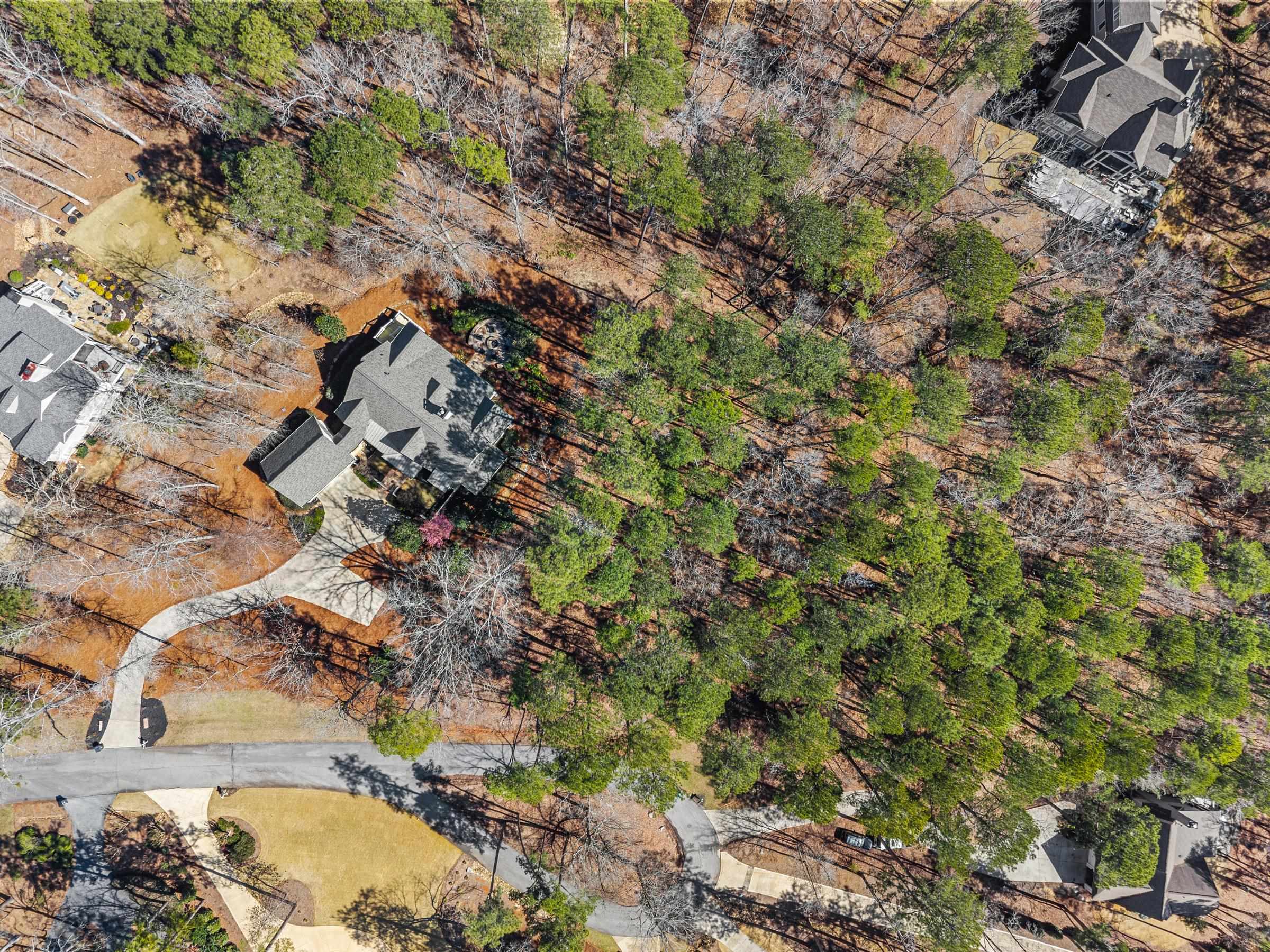 1020 LIBERTY BLUFF LANE