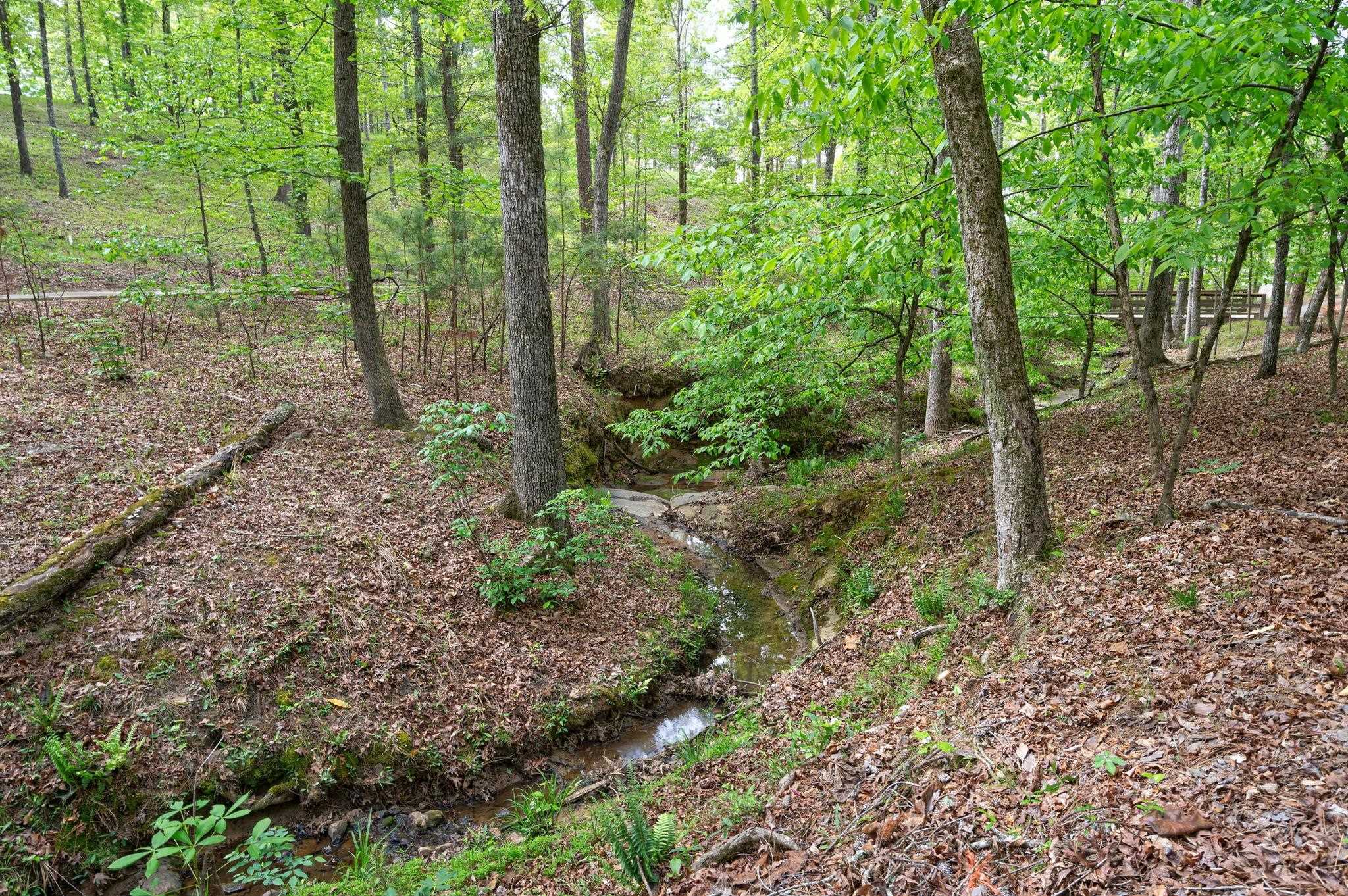 1080 JONES BLUFF COURT