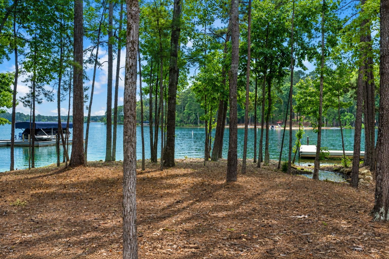 1101 LONGVIEW COMMONS