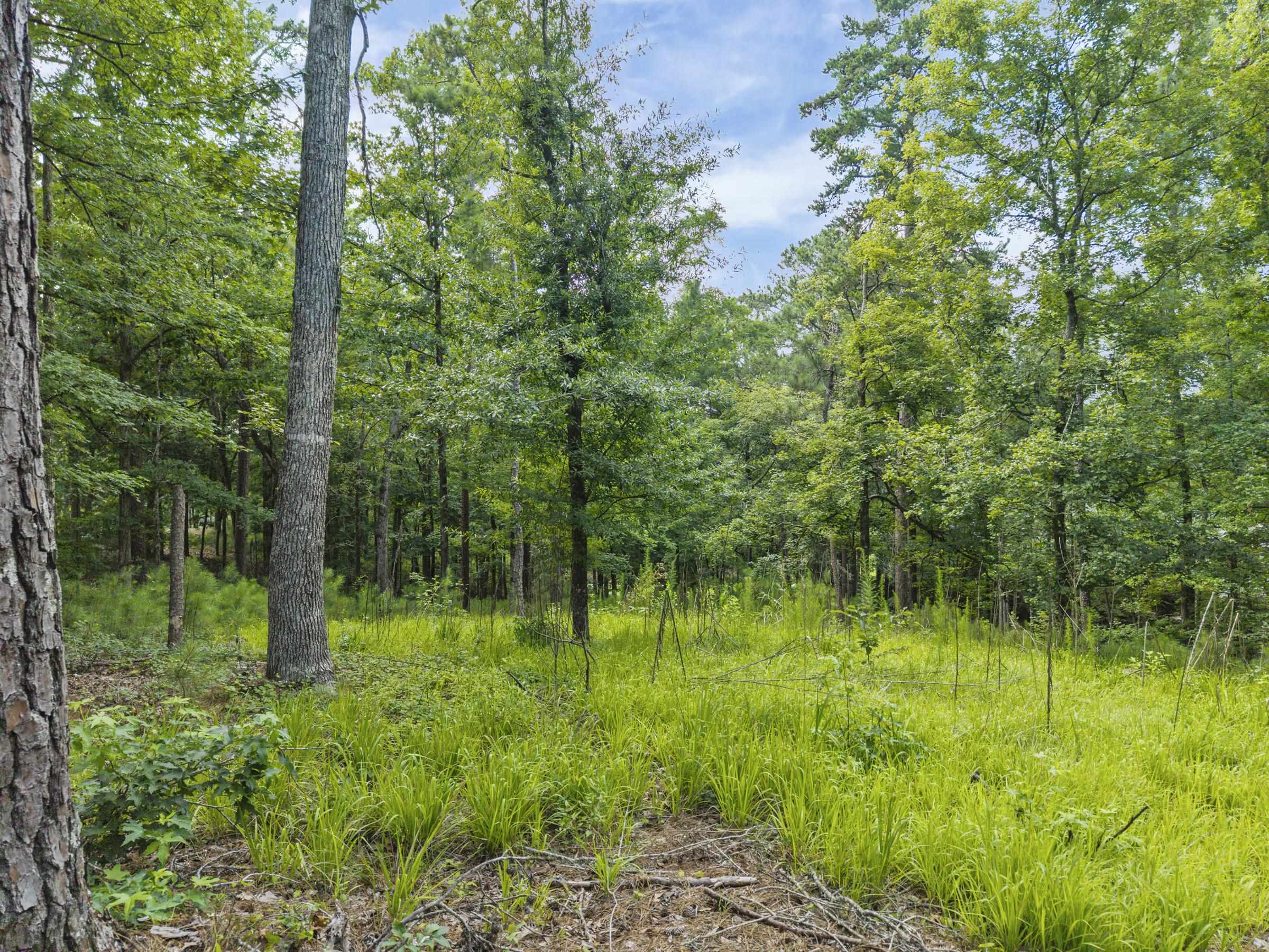 1091 HARDWOOD HOLLOW # 38