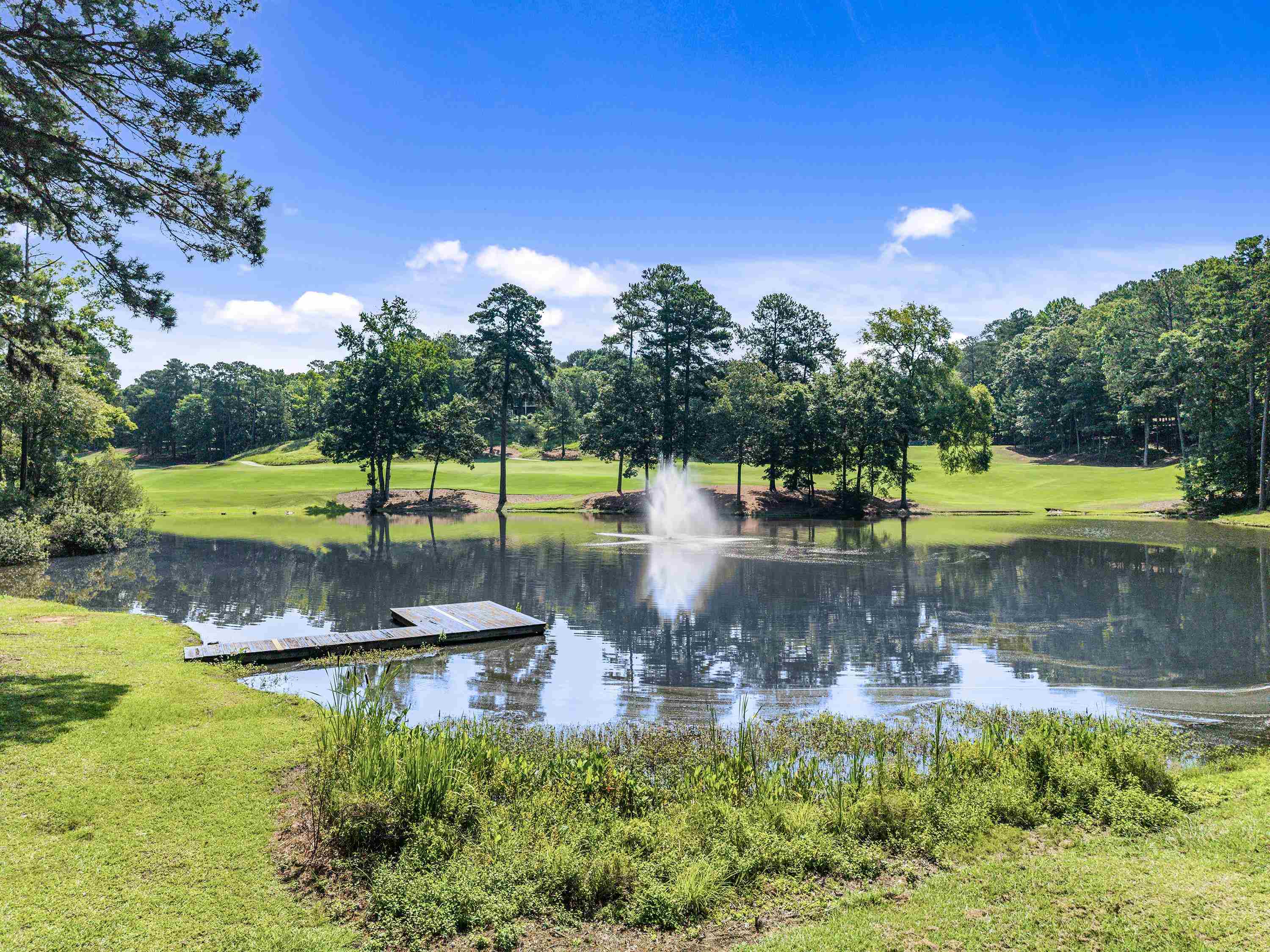 1091 HARDWOOD HOLLOW # 38