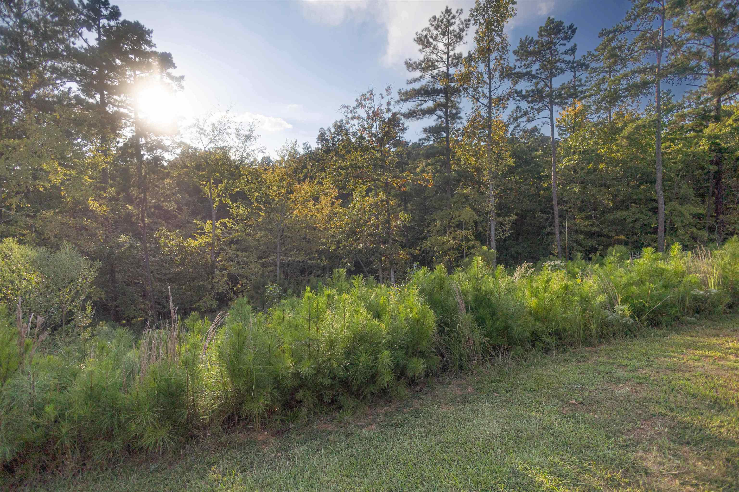 1079 FOX SQUIRREL DR # 8