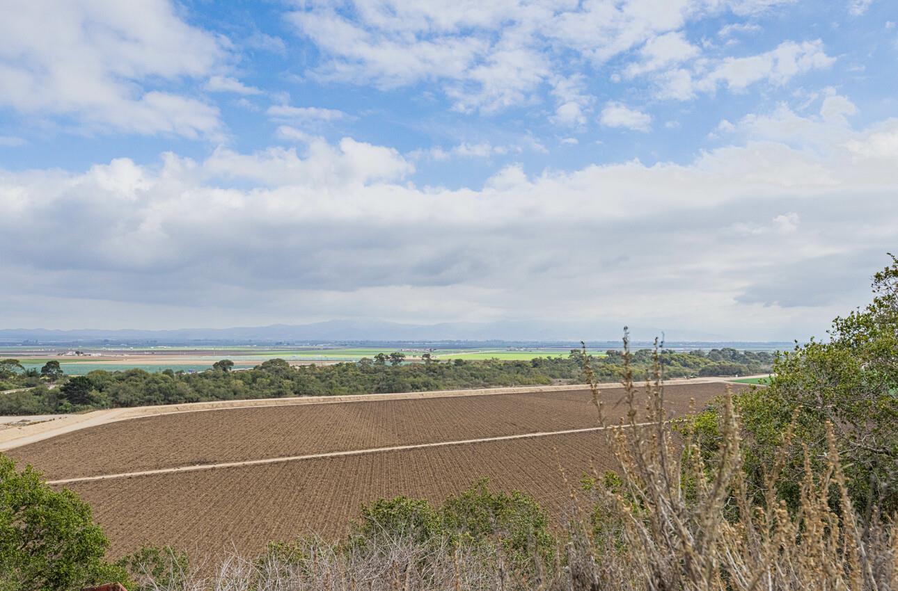 905 West Blanco Road