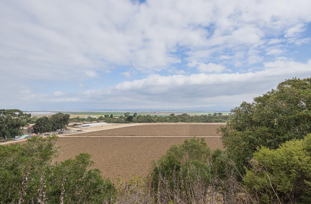 905 West Blanco Road