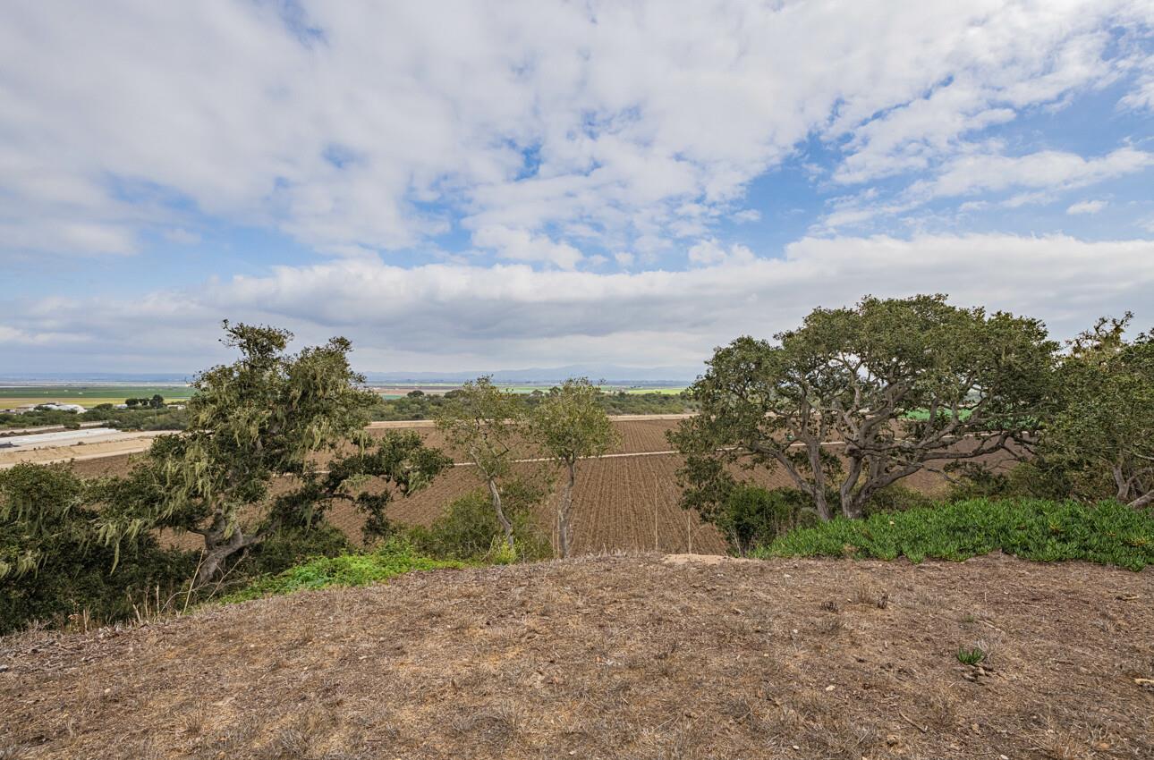 905 West Blanco Road