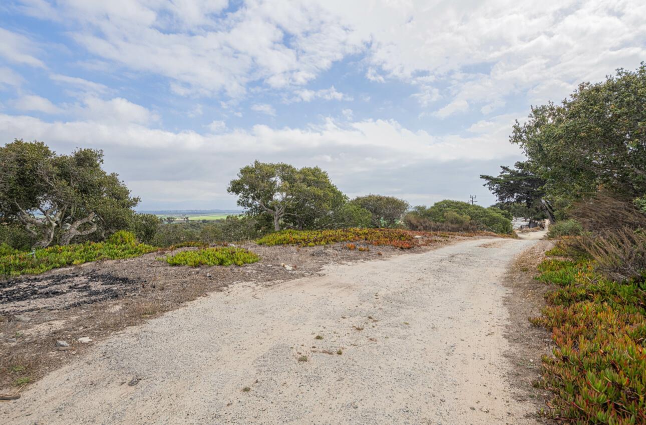 905 West Blanco Road