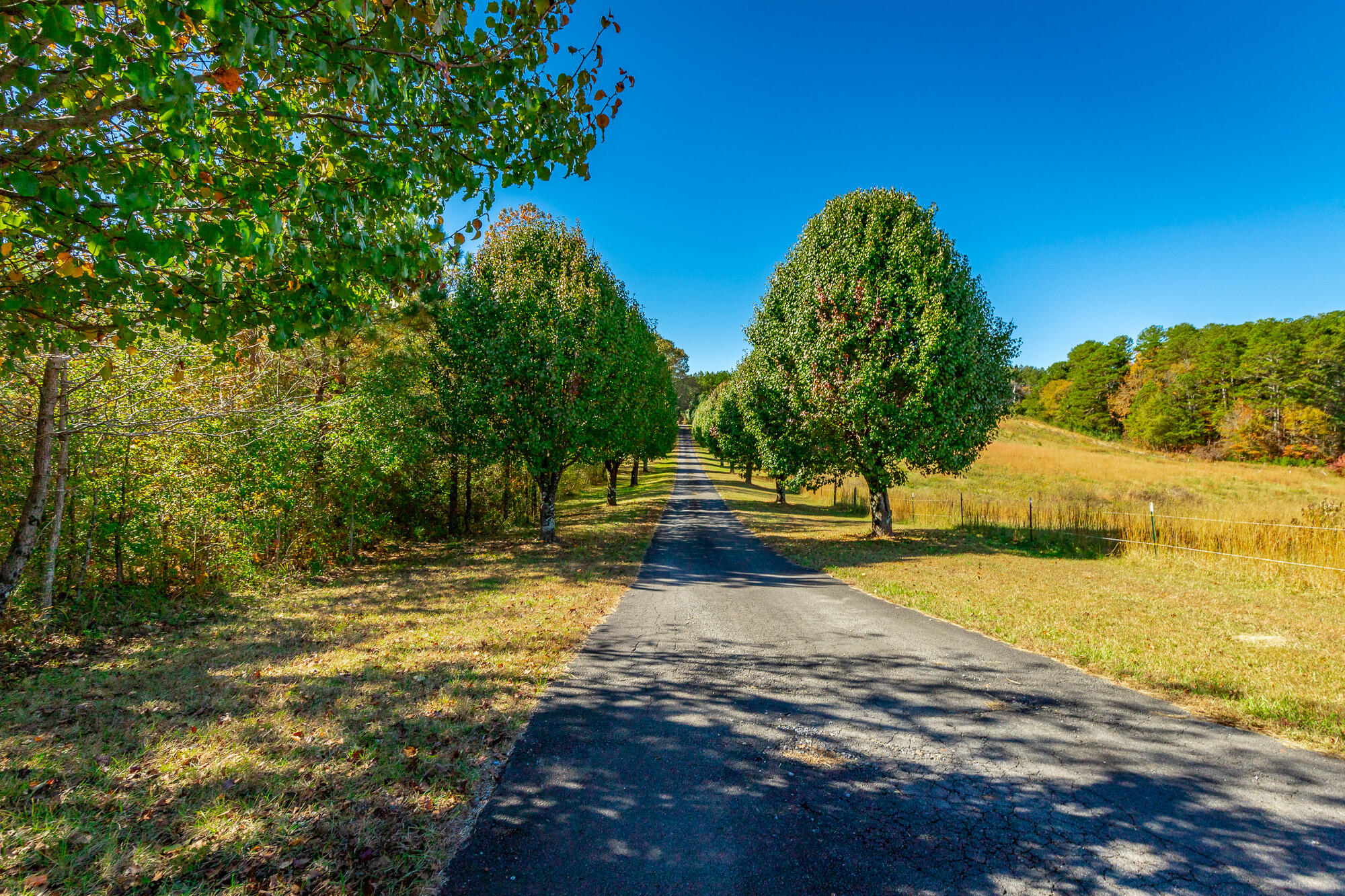 150 Ken Visage Lane, LaFayette