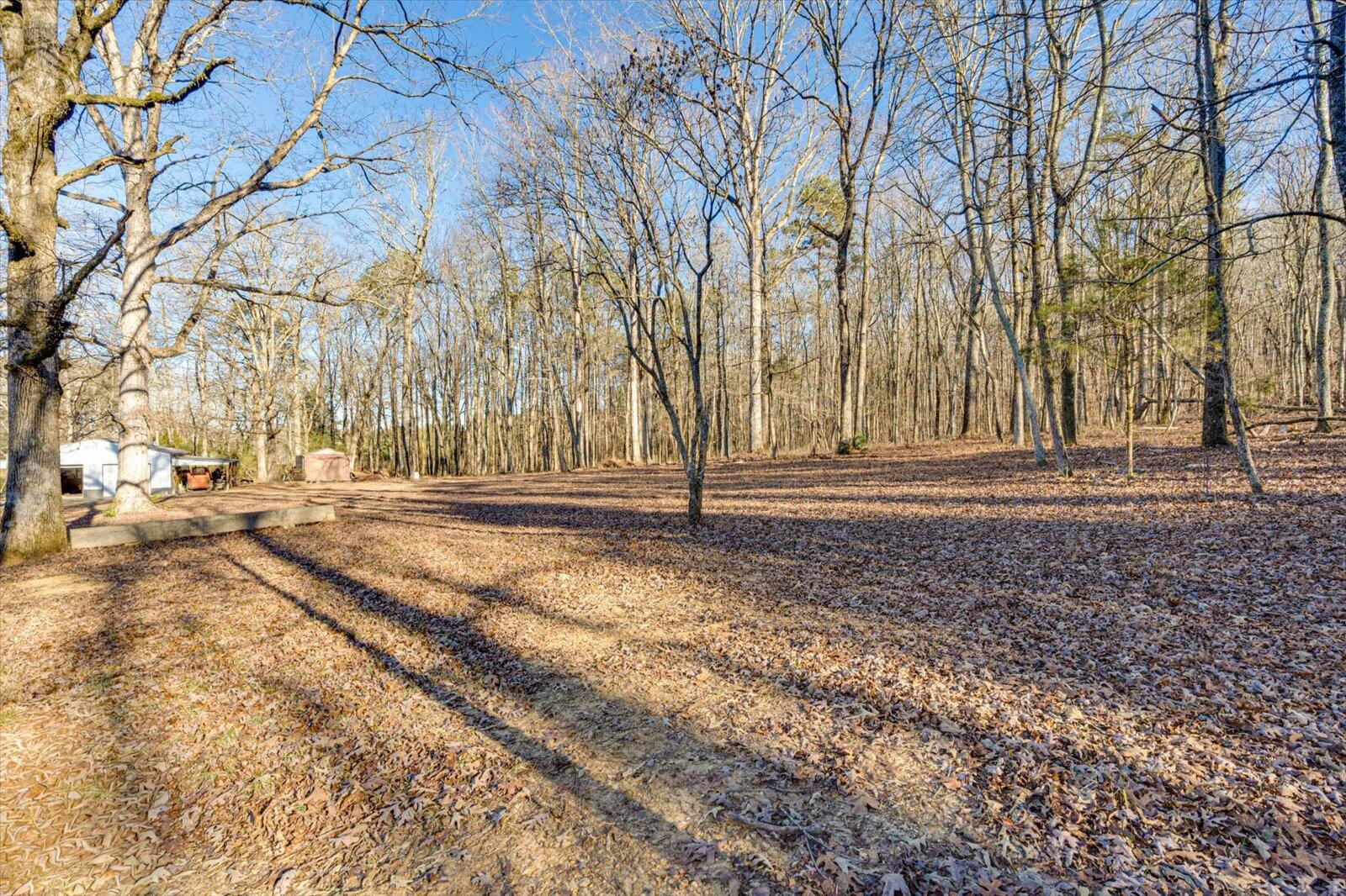 13318 Birchwood Pike