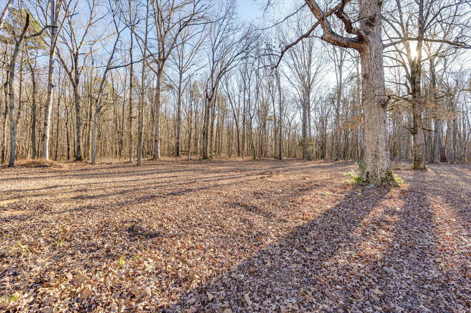 13318 Birchwood Pike