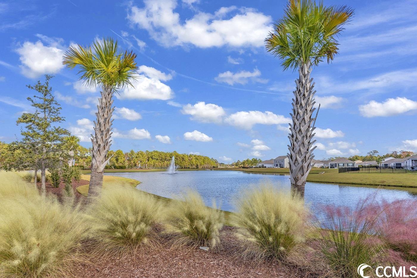 1053 Laurens Mill Dr.