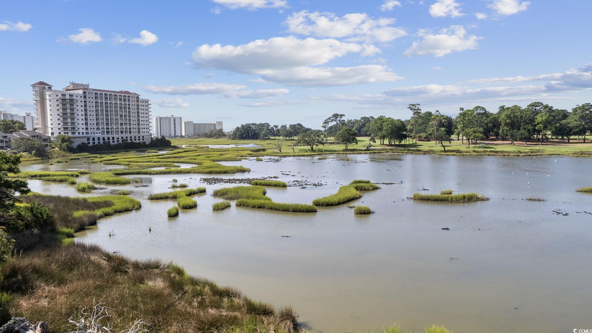 9550 Dunes Gable Dr. Unit: D