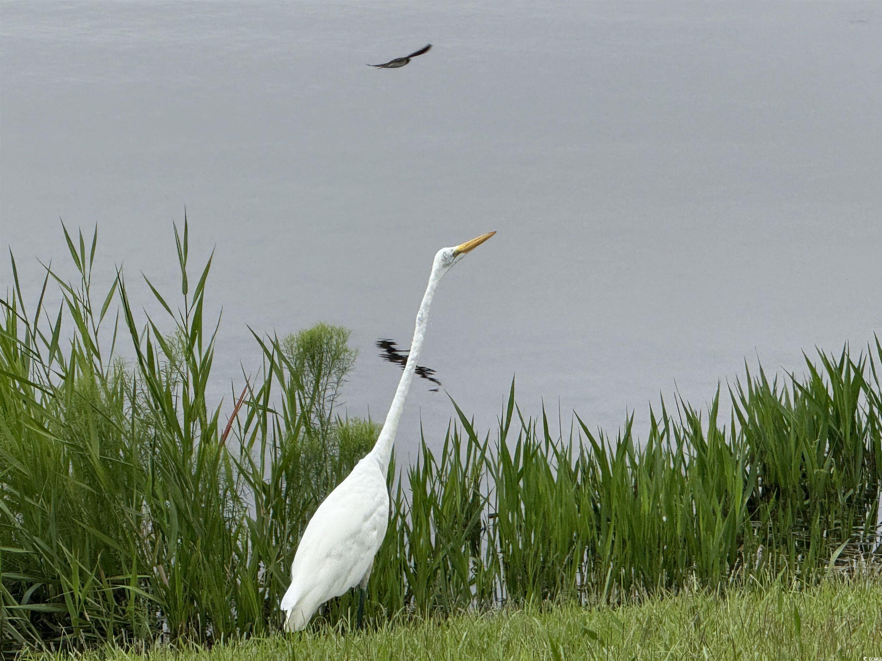 392 Indigo Bay Circle