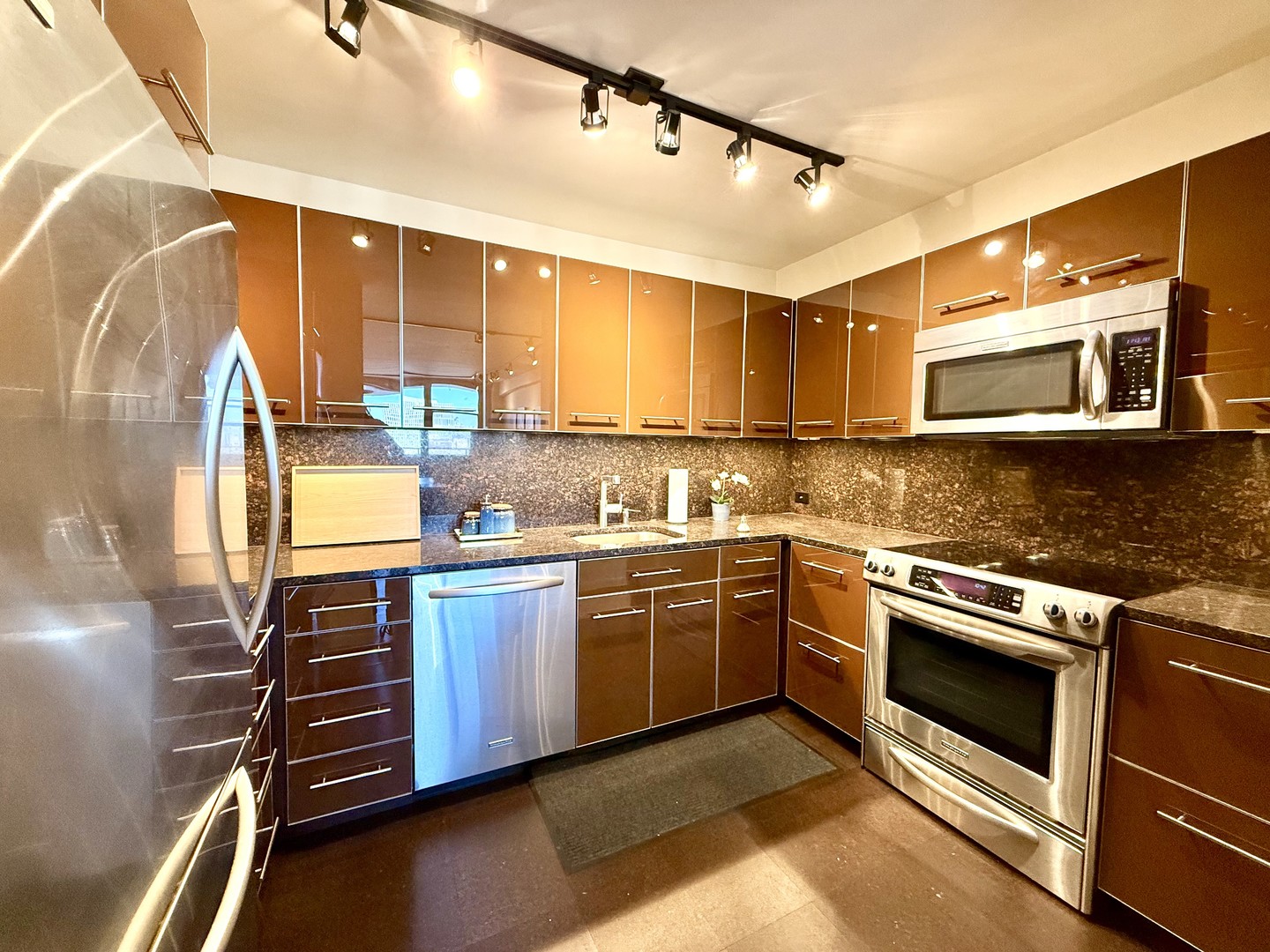 555 W Cornelia Avenue Unit: 1011