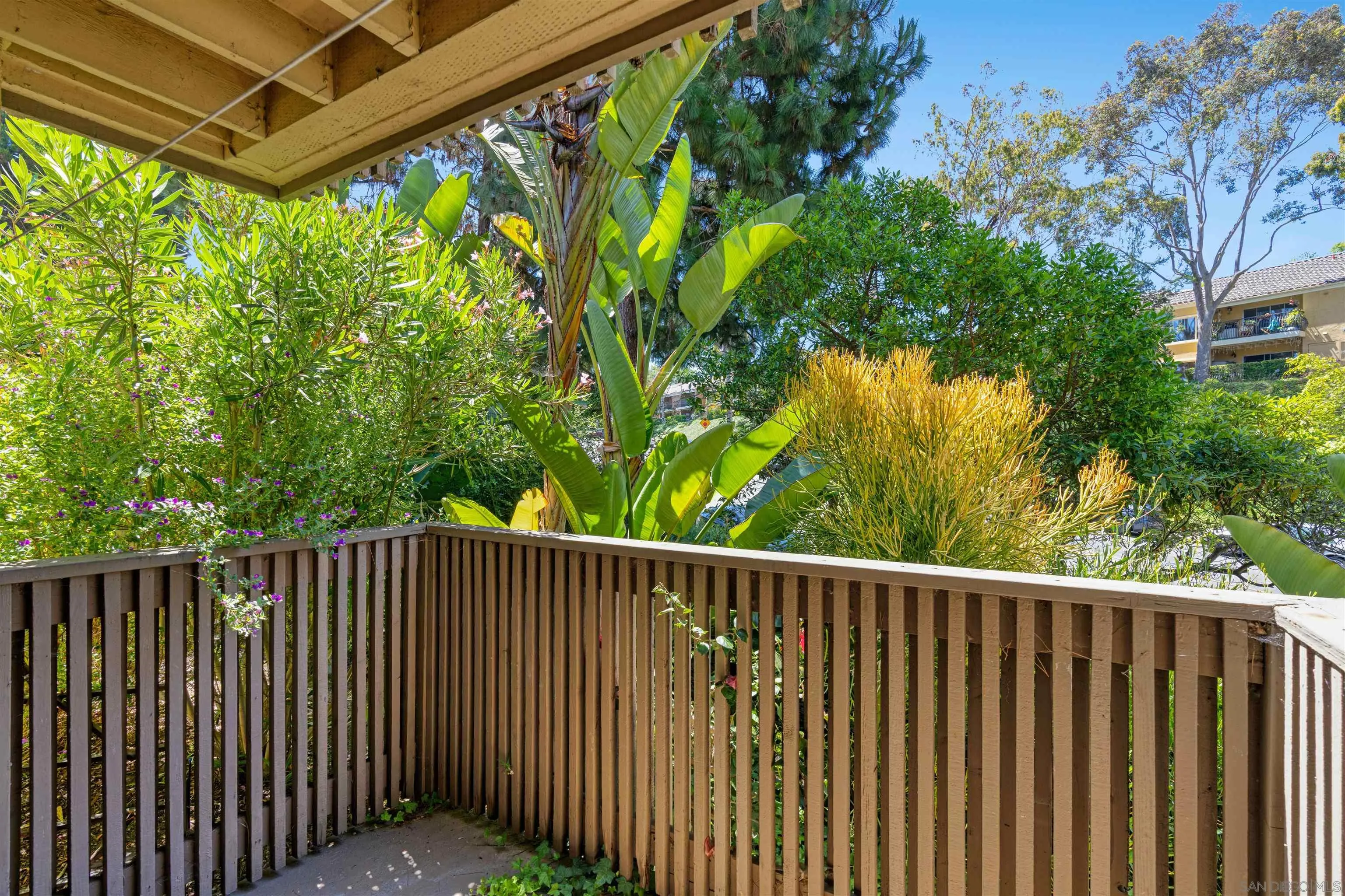 3136 Via Alicante Unit F